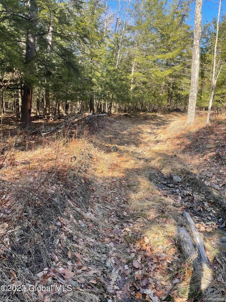 L26 & L27 Ecker Hollow Road Property Photo 34