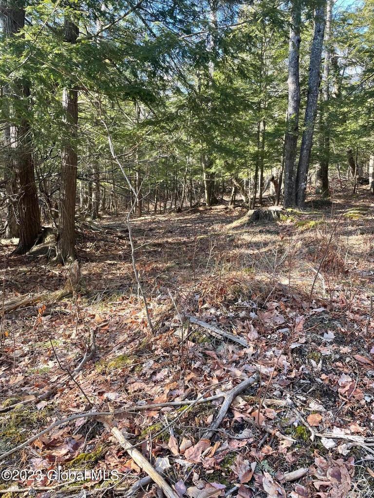 L26 & L27 Ecker Hollow Road Property Photo 35