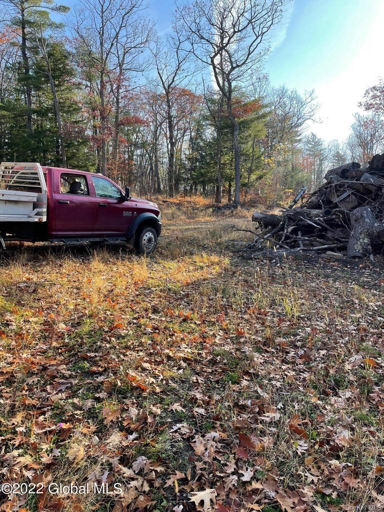 L26 & L27 Ecker Hollow Road Property Photo 36