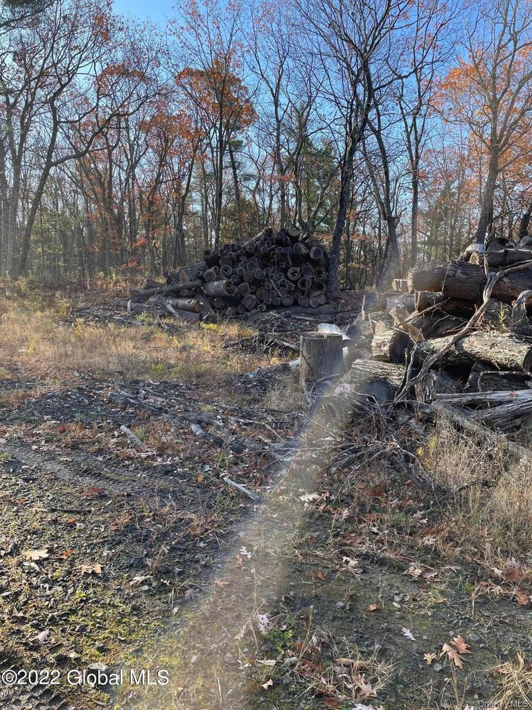 L26 & L27 Ecker Hollow Road Property Photo 37