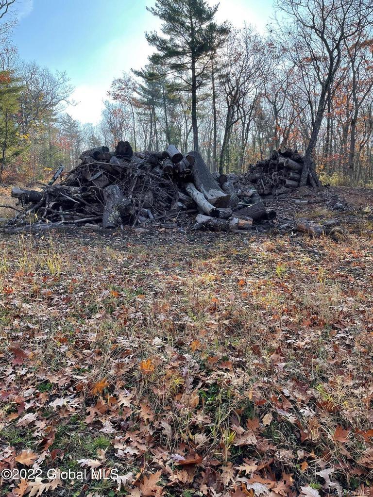 L26 & L27 Ecker Hollow Road Property Photo 38