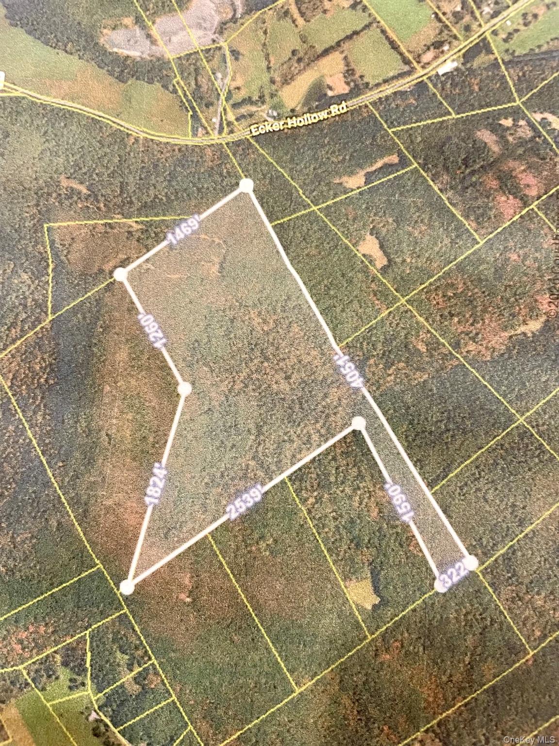 L26 & L27 Ecker Hollow Road Property Photo 39