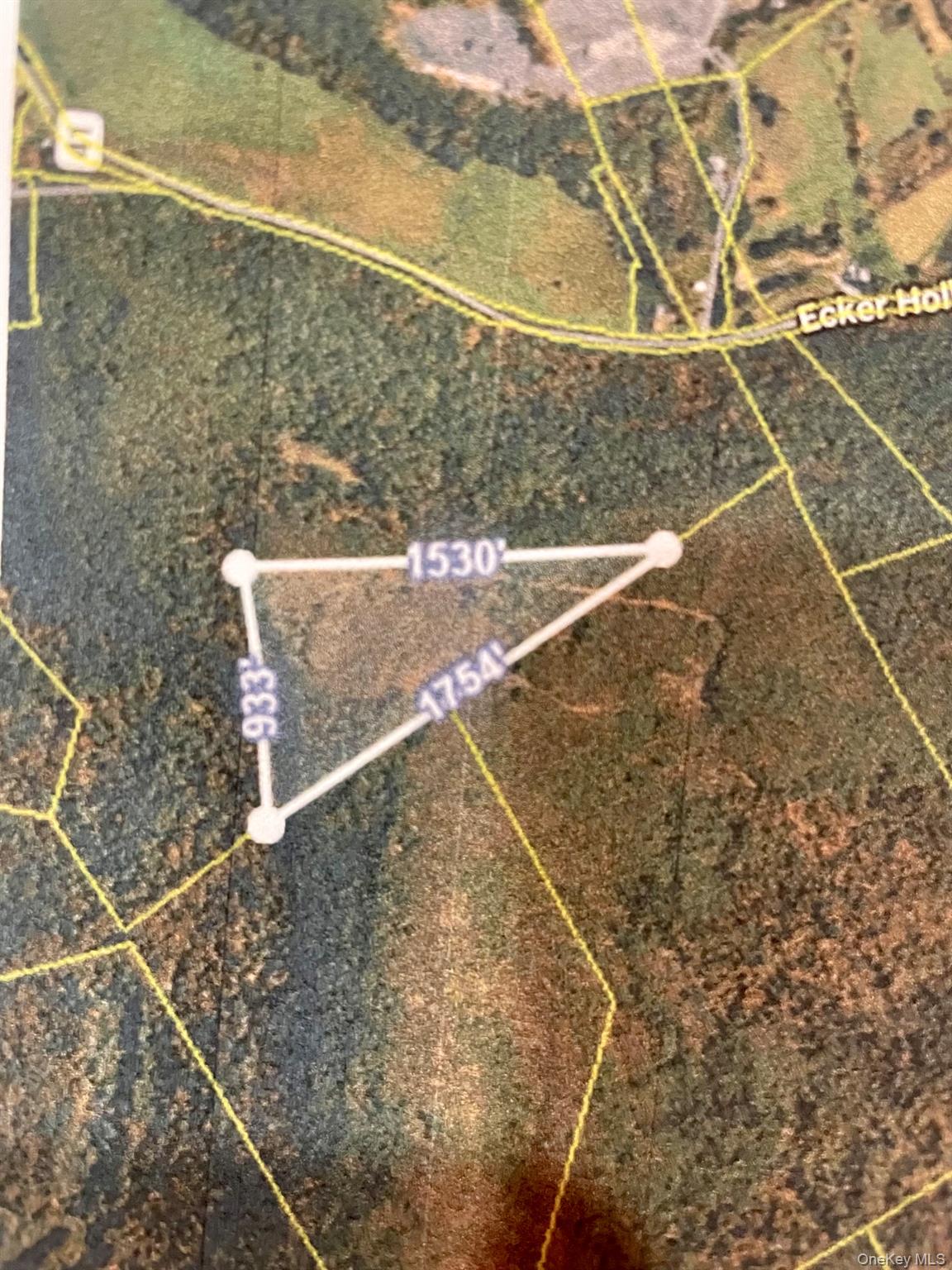 L26 & L27 Ecker Hollow Road Property Photo 40