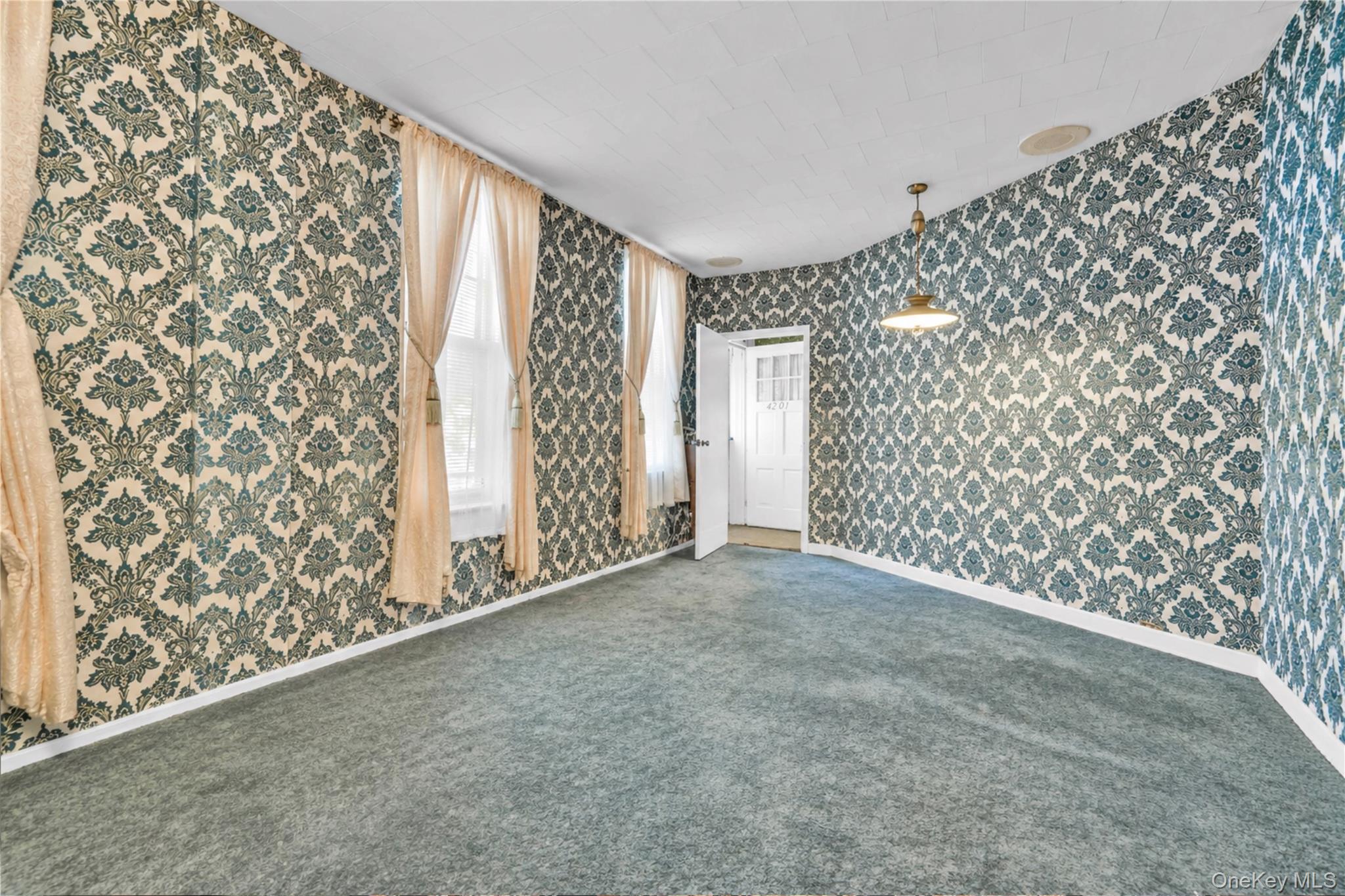 4201 Newtown Road Property Photo 6