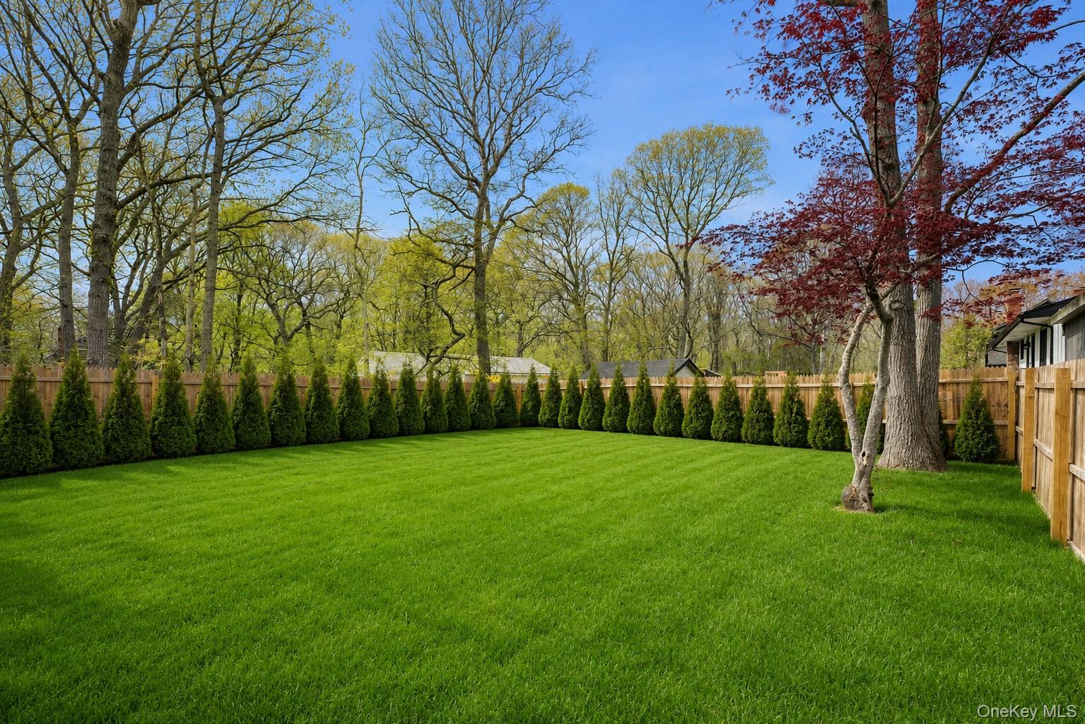 50 Squires Avenue Property Photo 14