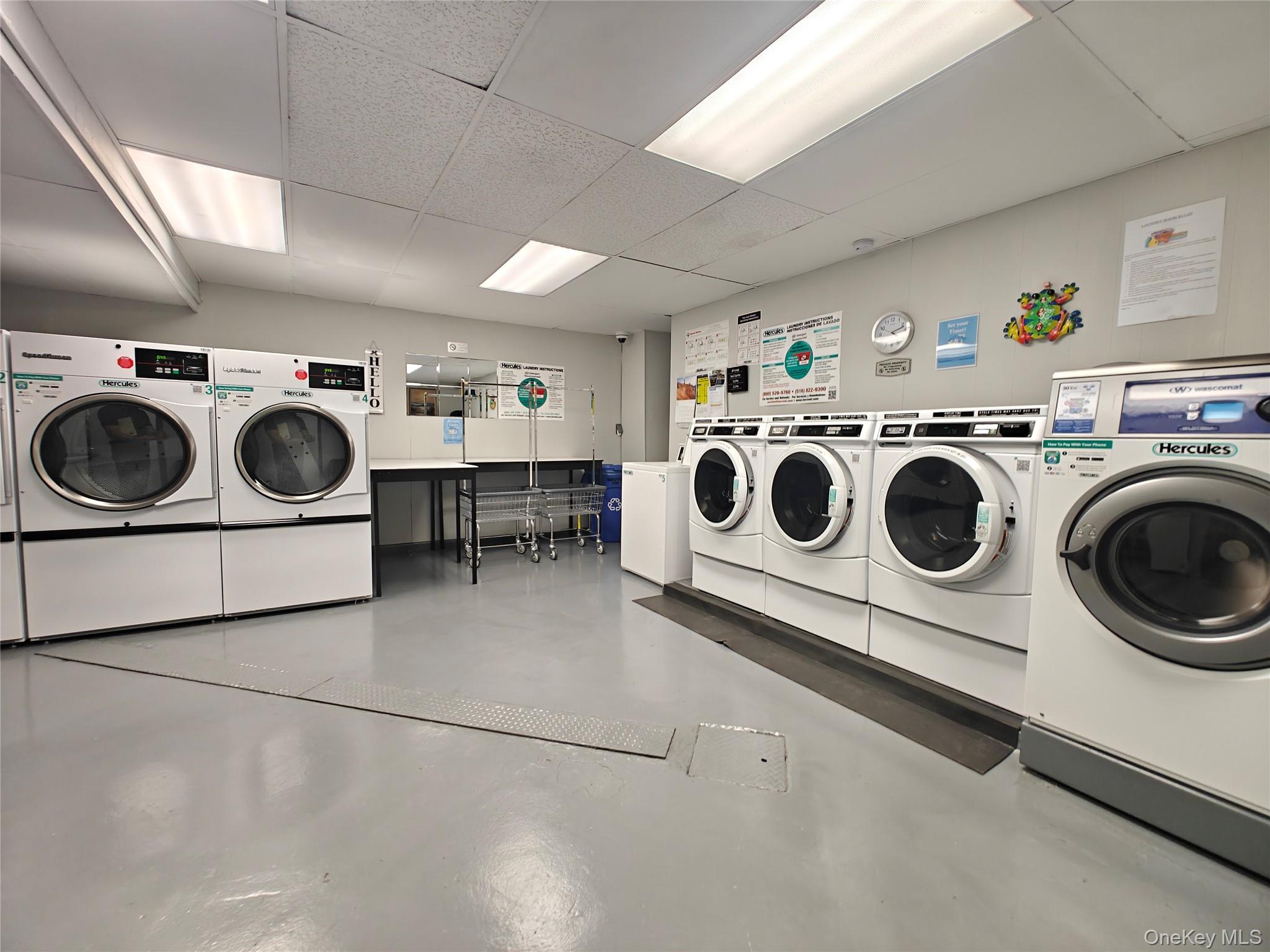 385 Mclean Avenue 8d Property Photo 18
