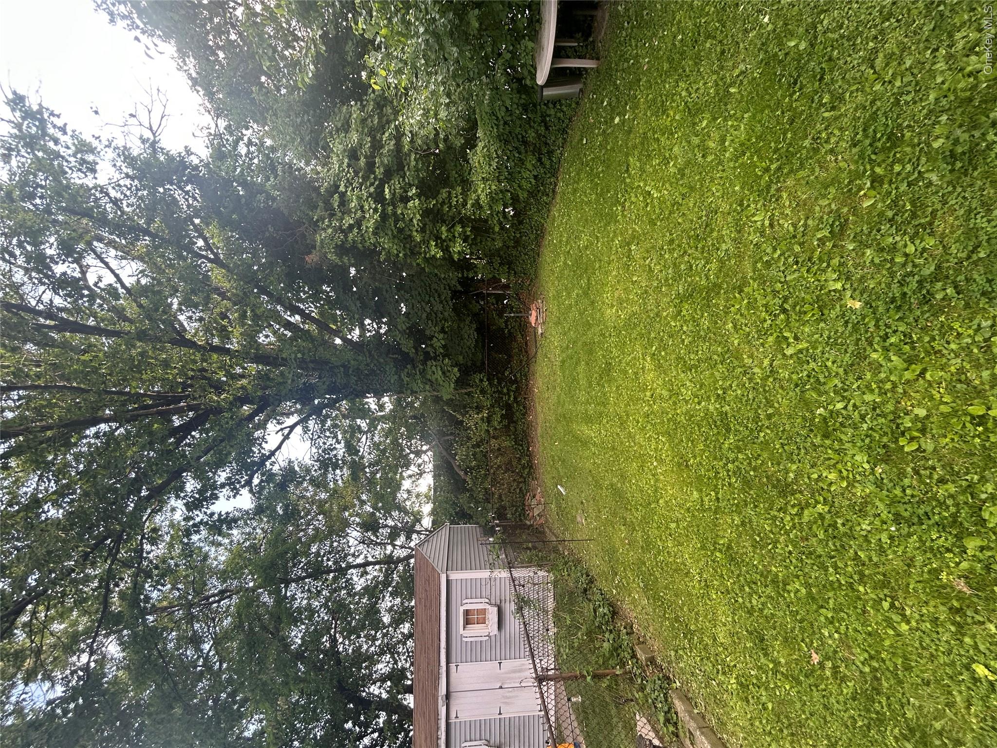 914 E 211th Street Property Photo 5