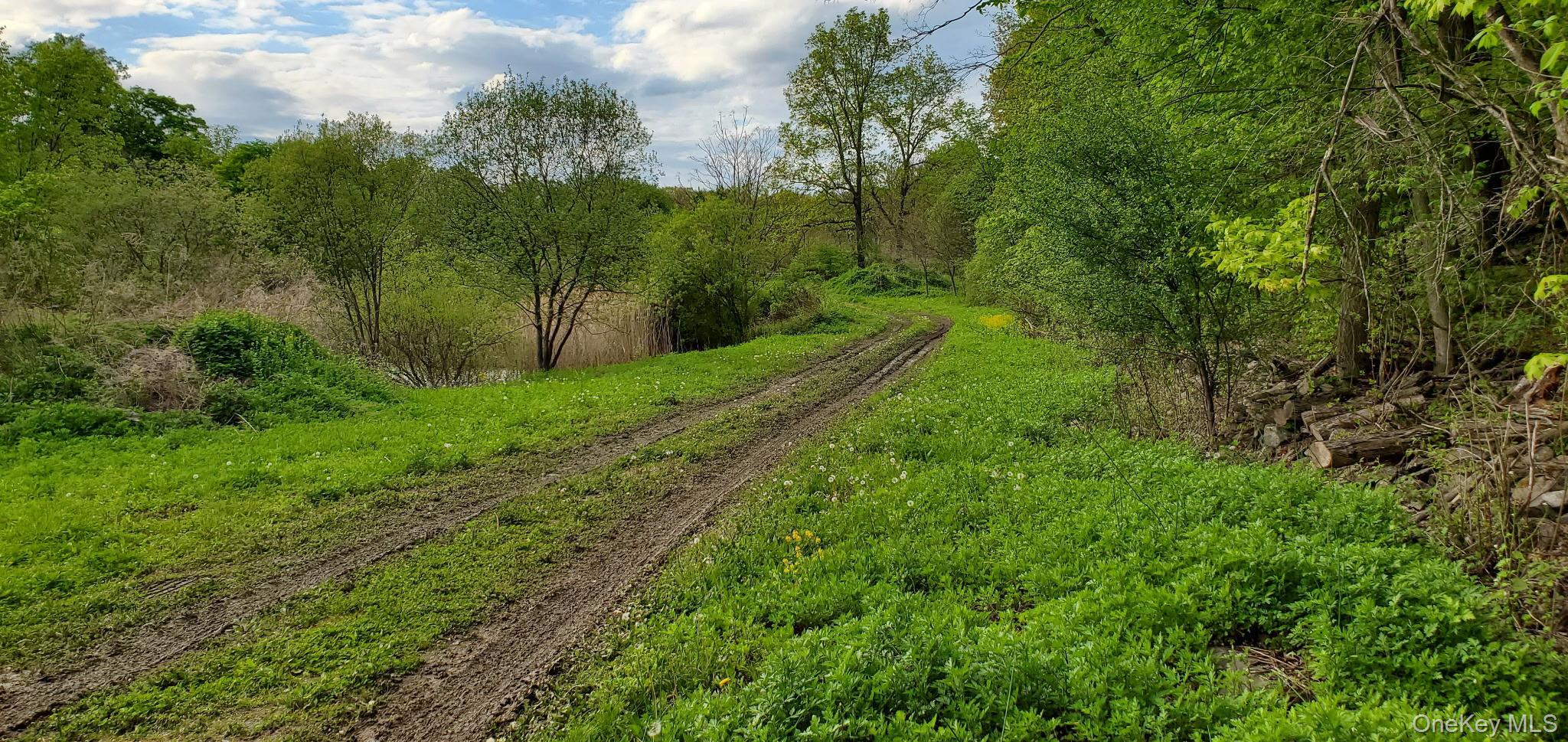 207 Cardinal Road Property Photo 5