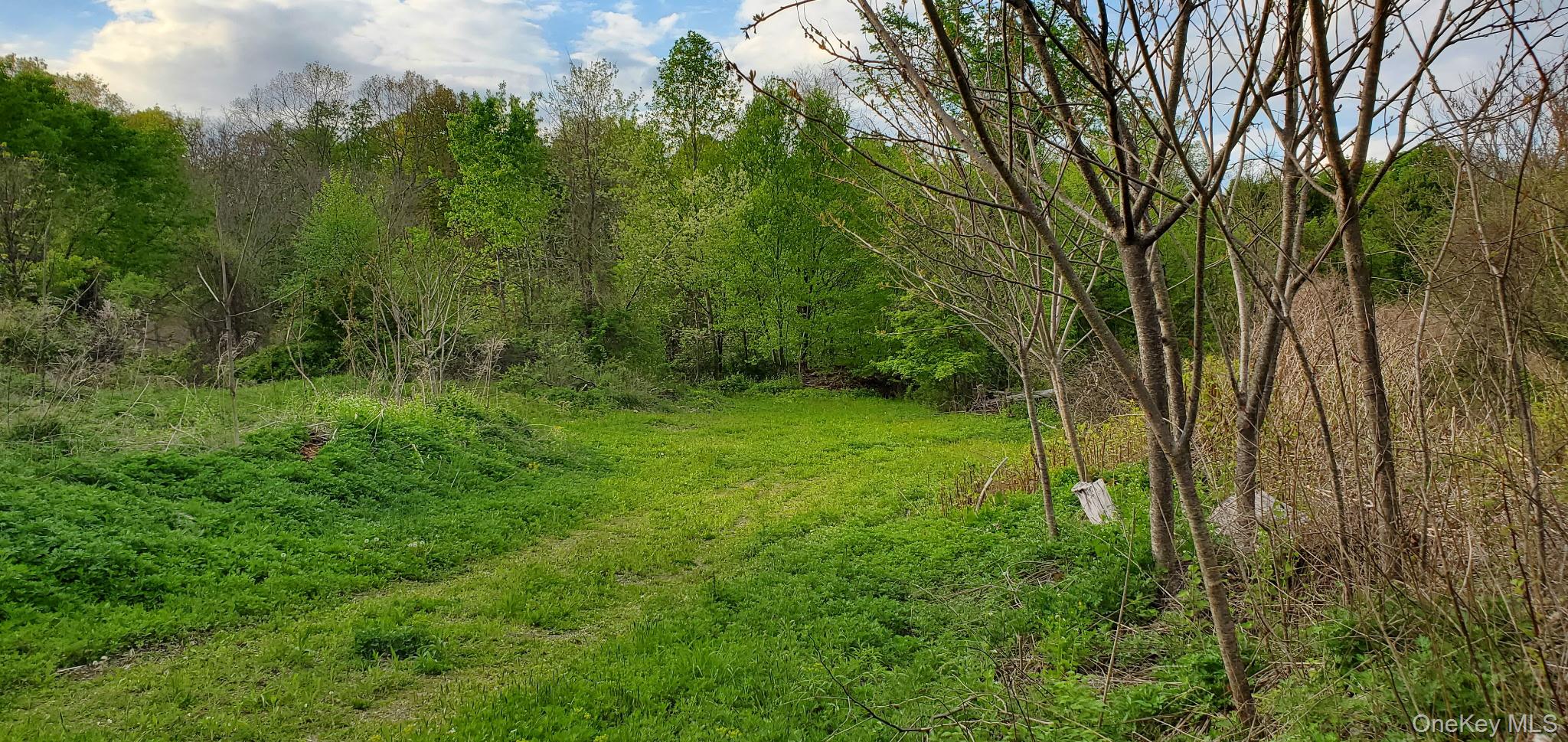 207 Cardinal Road Property Photo 7
