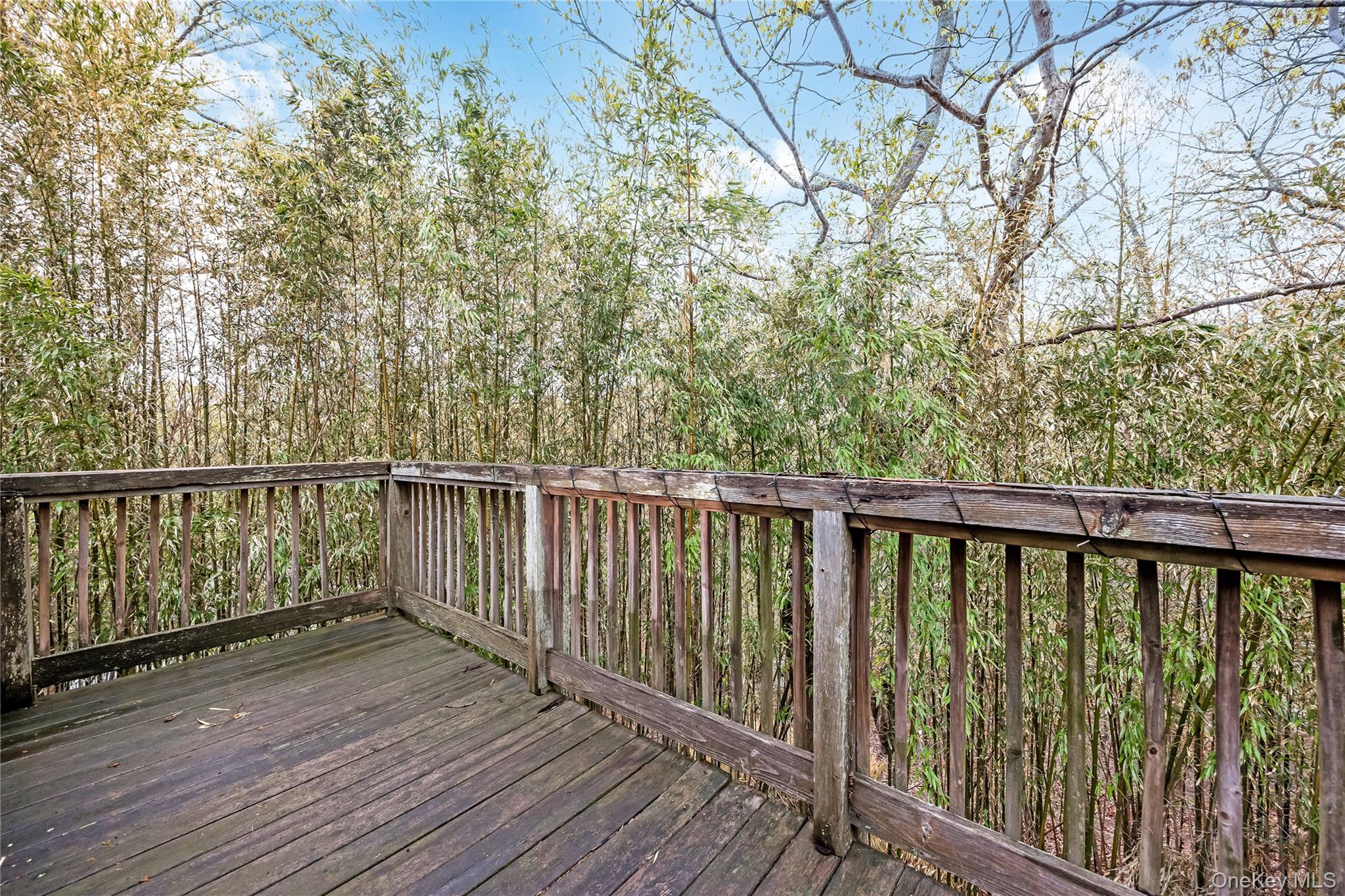 3010 Hulse Landing C-19 Property Photo 18