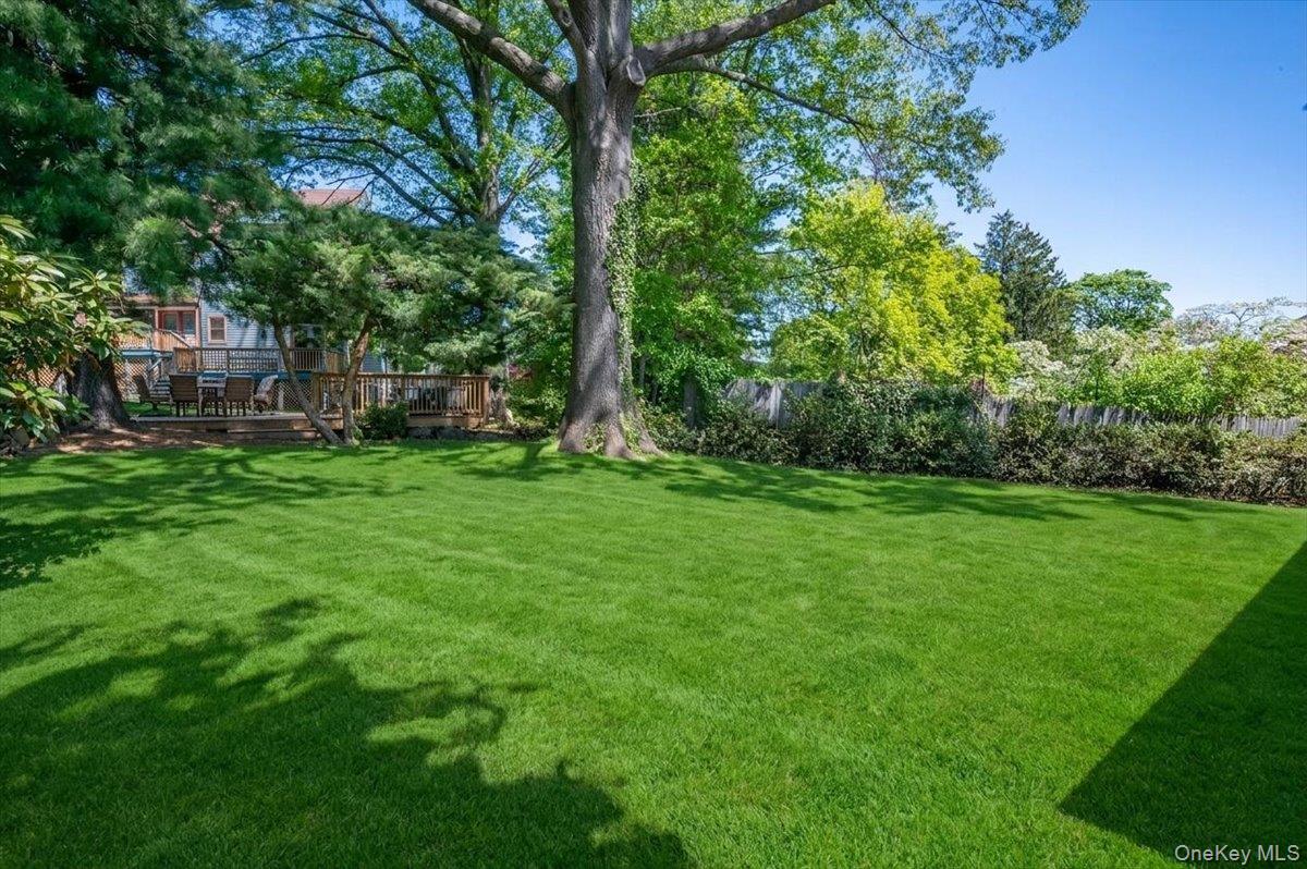9 Salisbury Place Property Photo 4