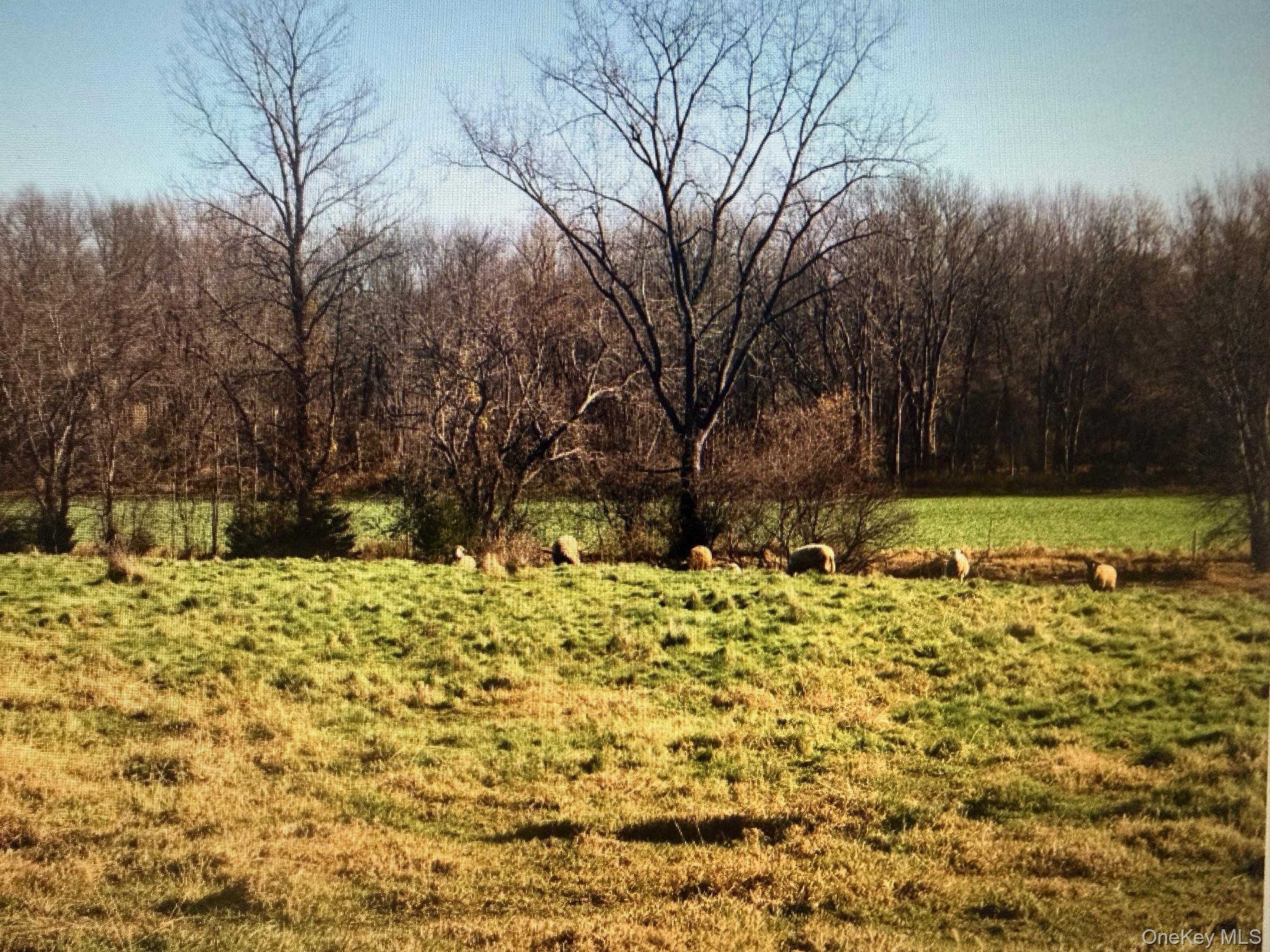 00 Spook Rock Road Property Photo 14