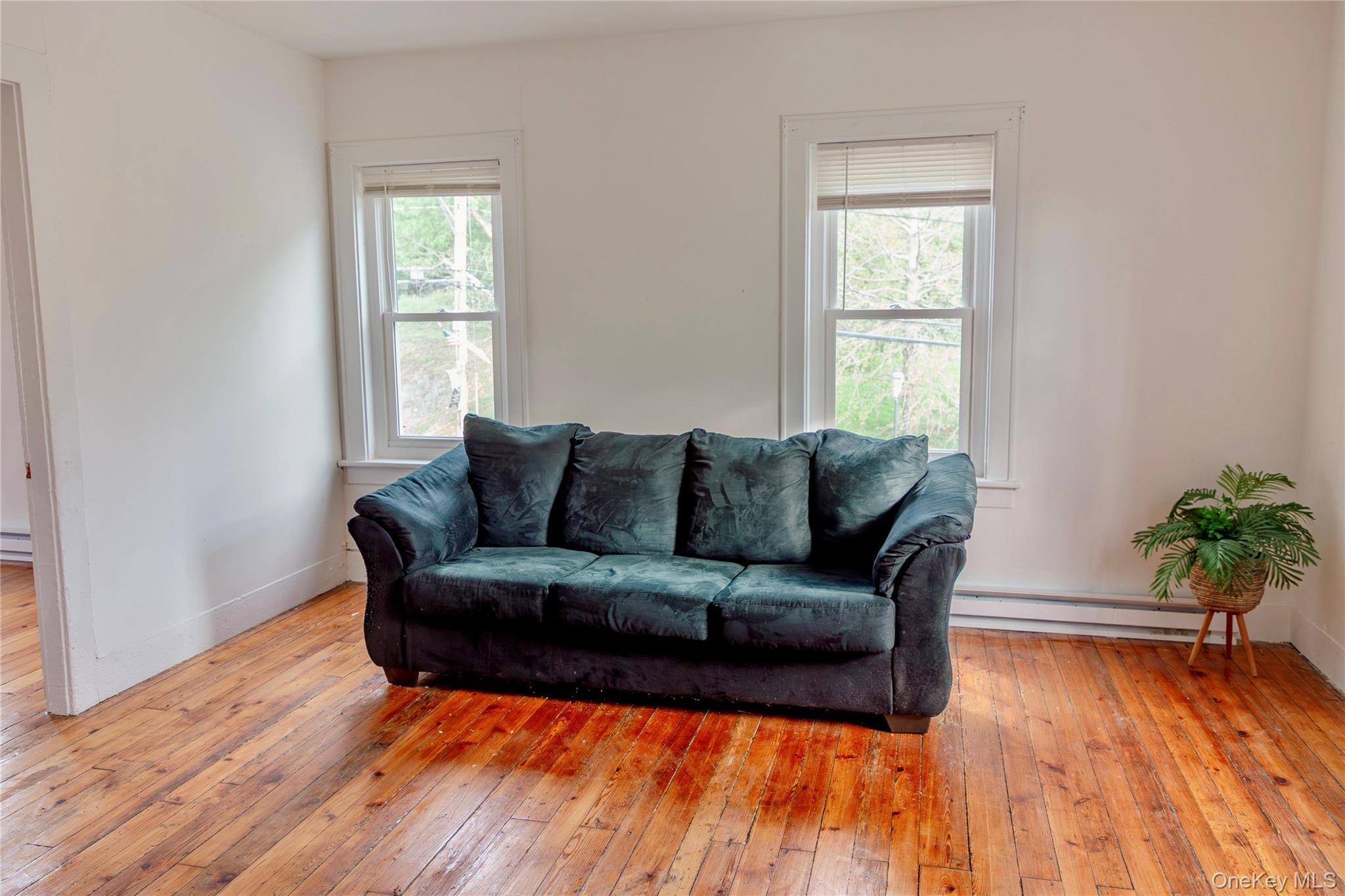 7 Canal Street Property Photo 17