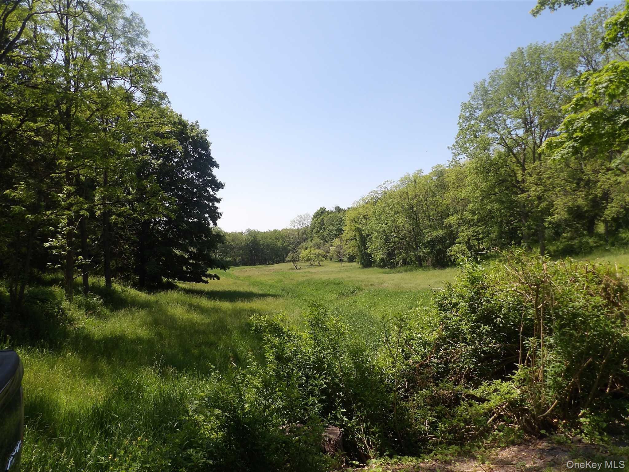 303 Hicks Hill Road Property Photo 2