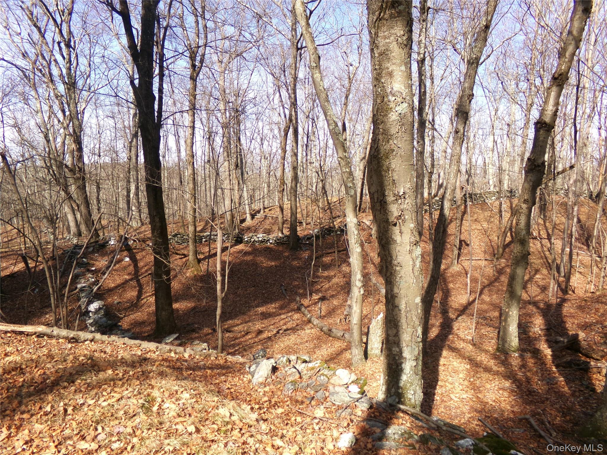 303 Hicks Hill Road Property Photo 36