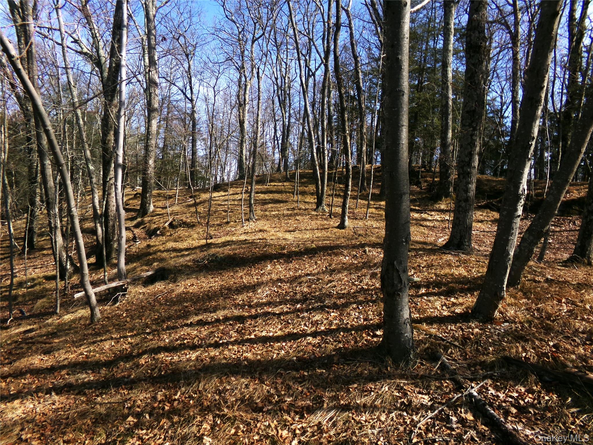 303 Hicks Hill Road Property Photo 37