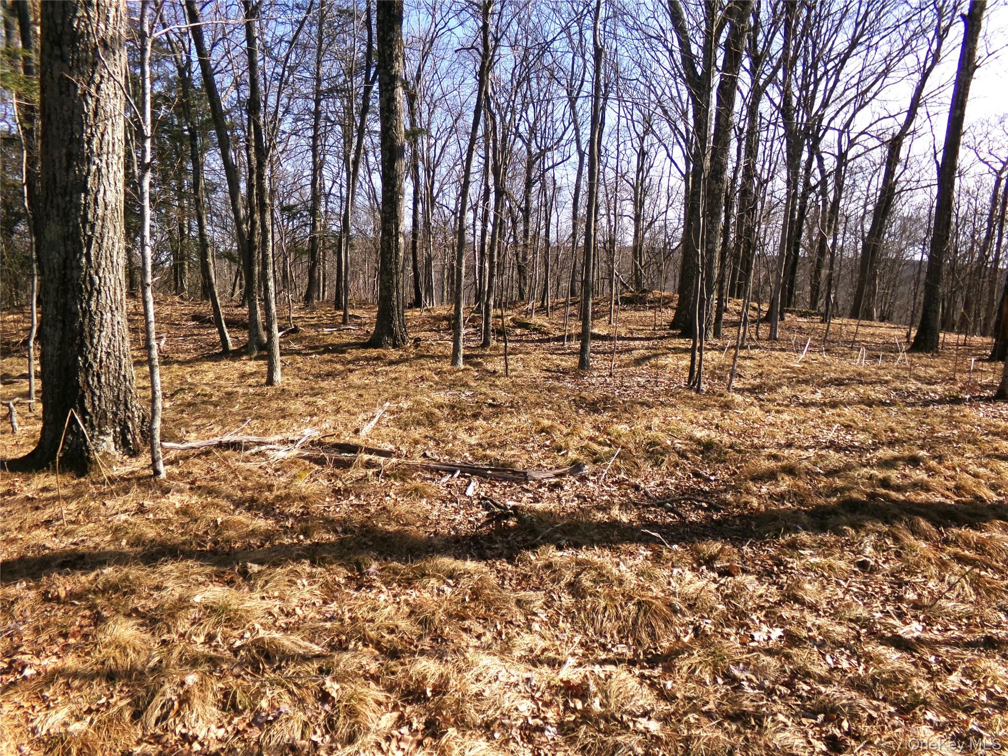 303 Hicks Hill Road Property Photo 40