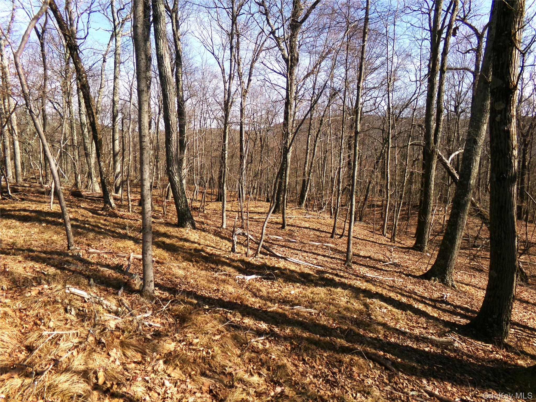303 Hicks Hill Road Property Photo 41