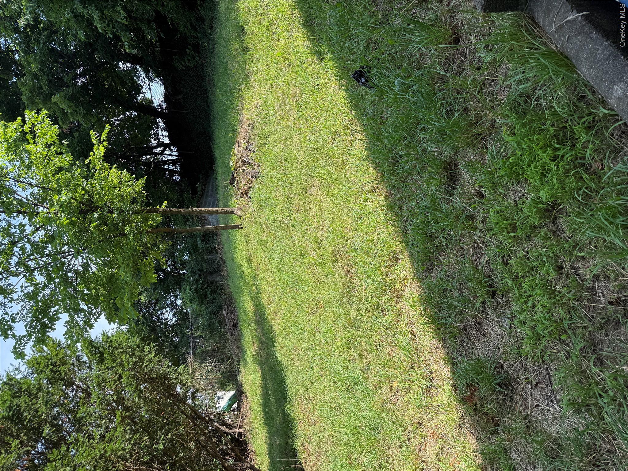 94 William Street Property Photo 22