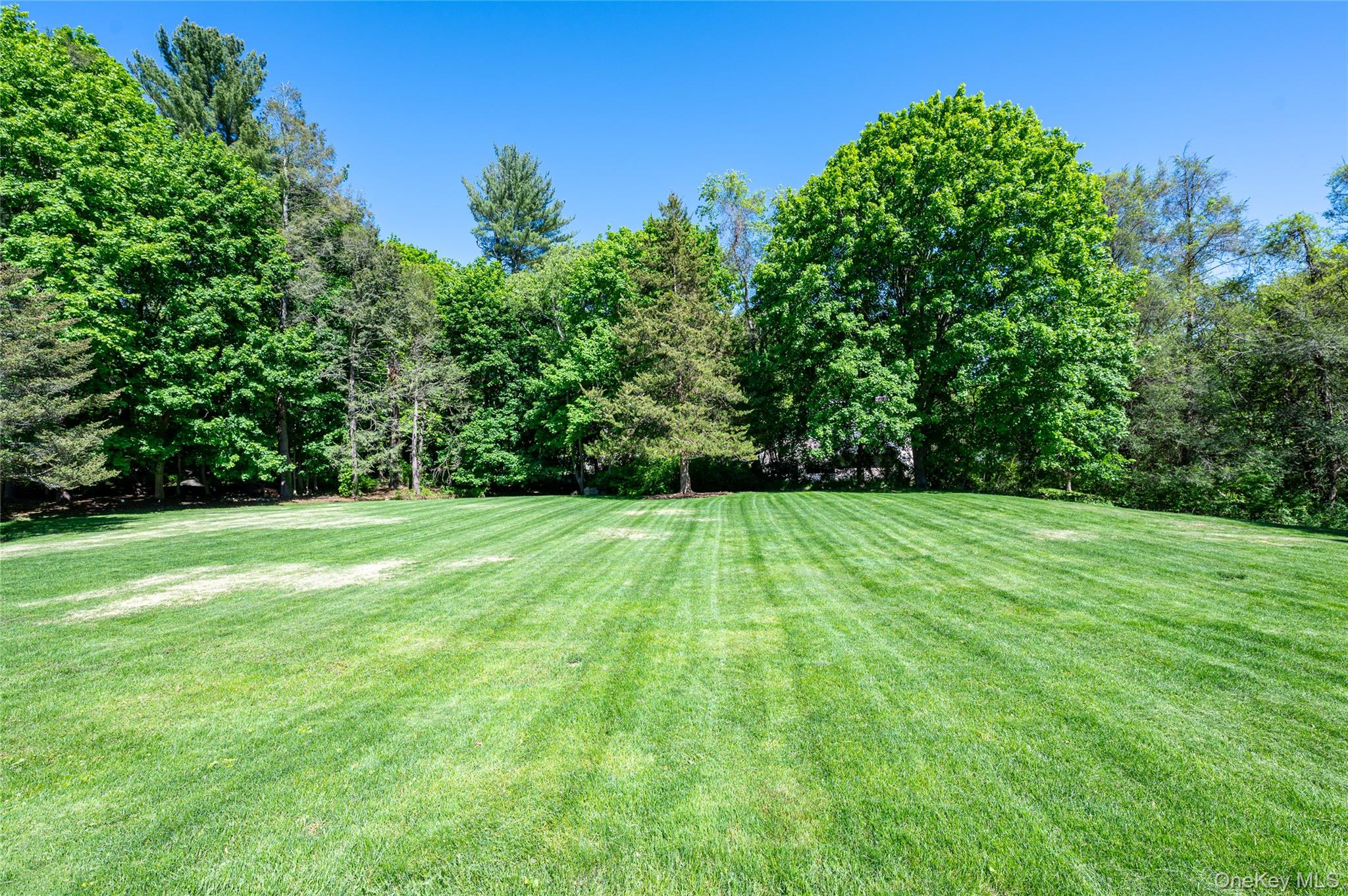 469 Taconic Road Property Photo 12
