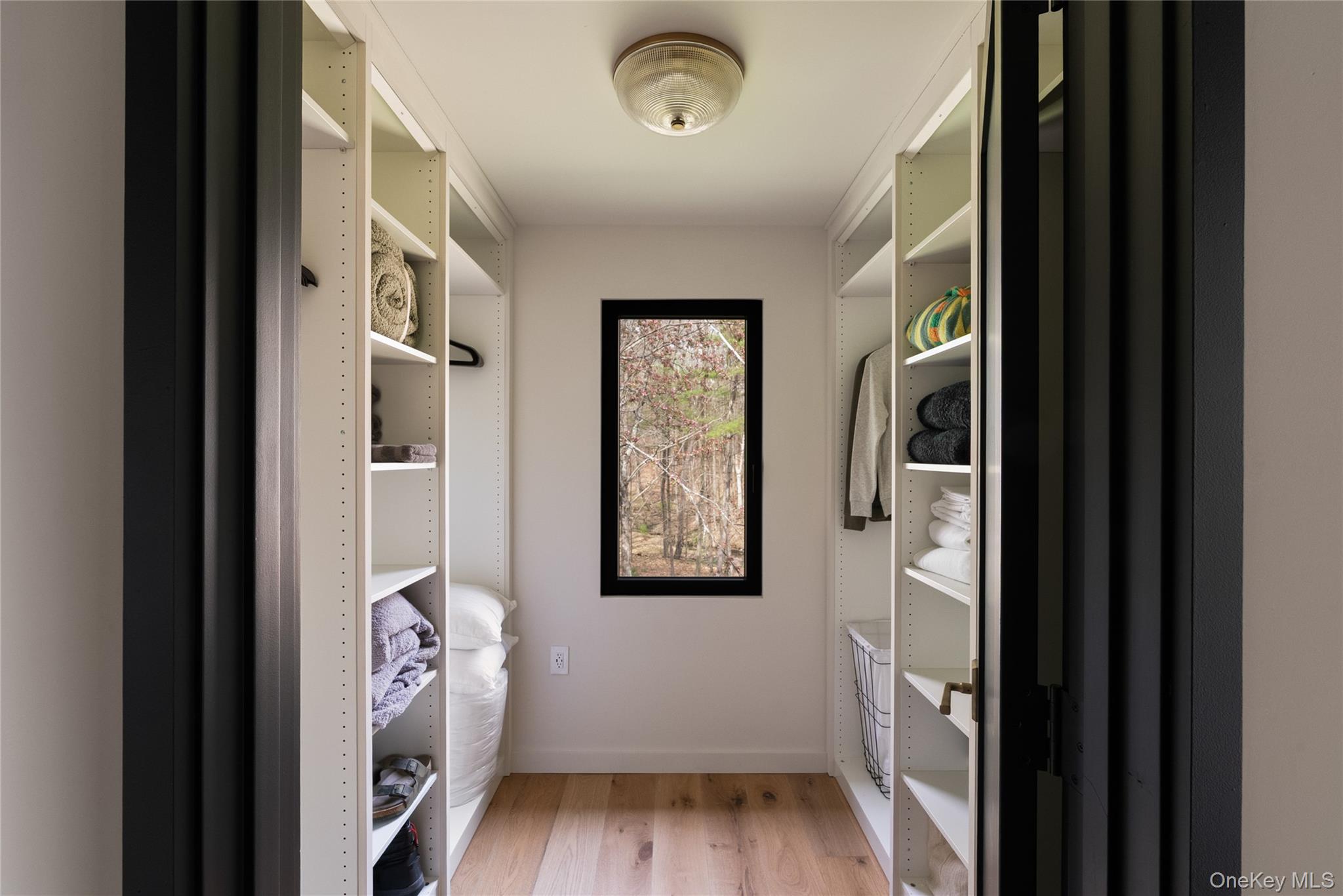 41 Chicory Lane Property Photo 38