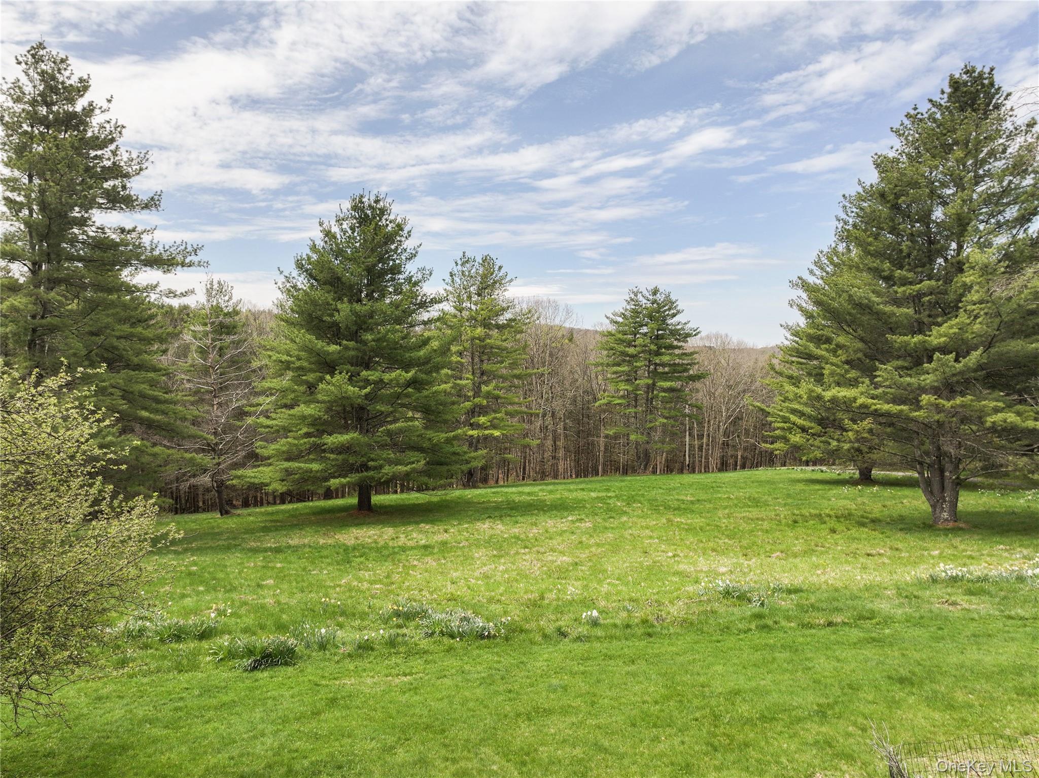 41 Chicory Lane Property Photo 47