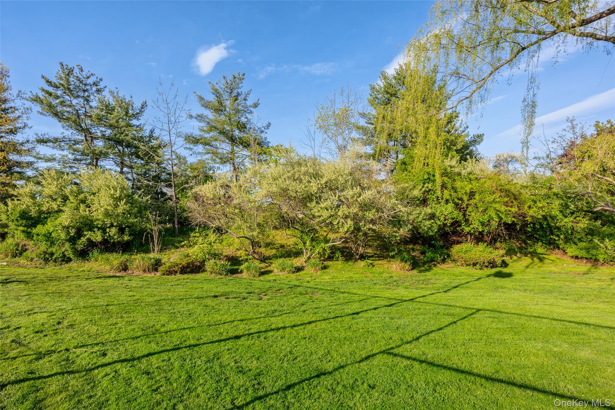 16 Cabriolet Lane Property Photo 44