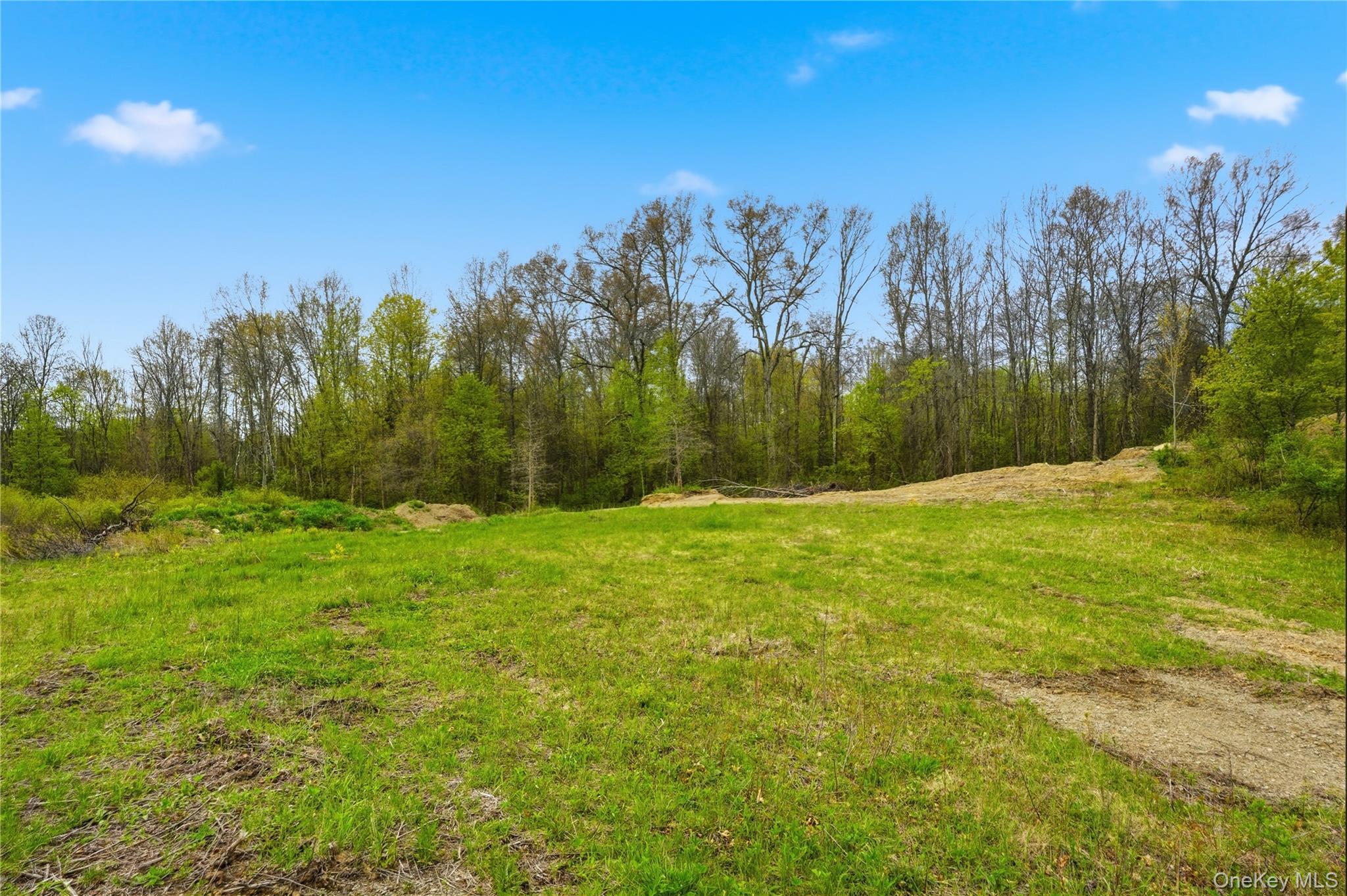 7 Scenic Meadow Drive Property Photo 6