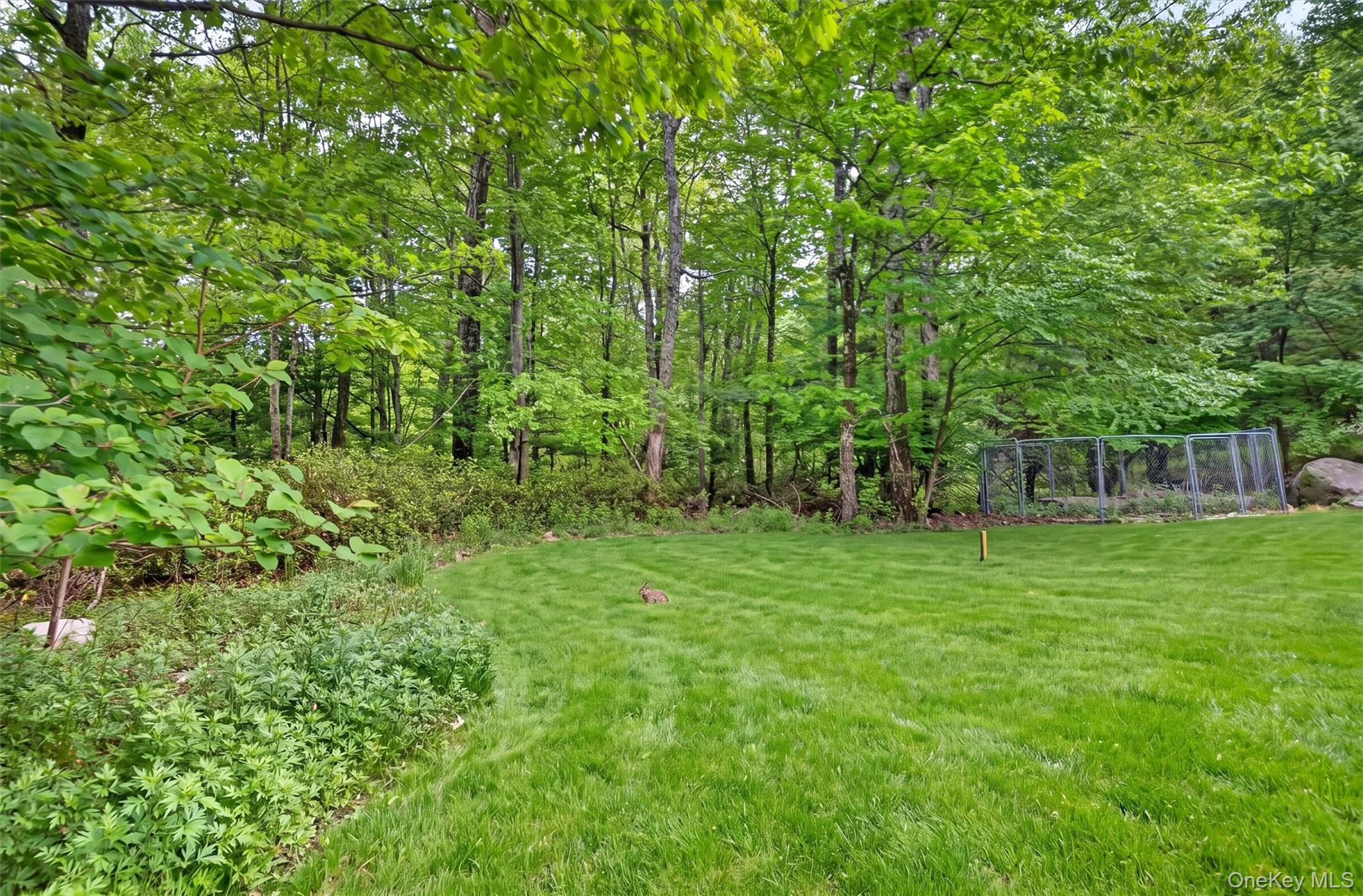 4 Clover Lane Property Photo 38