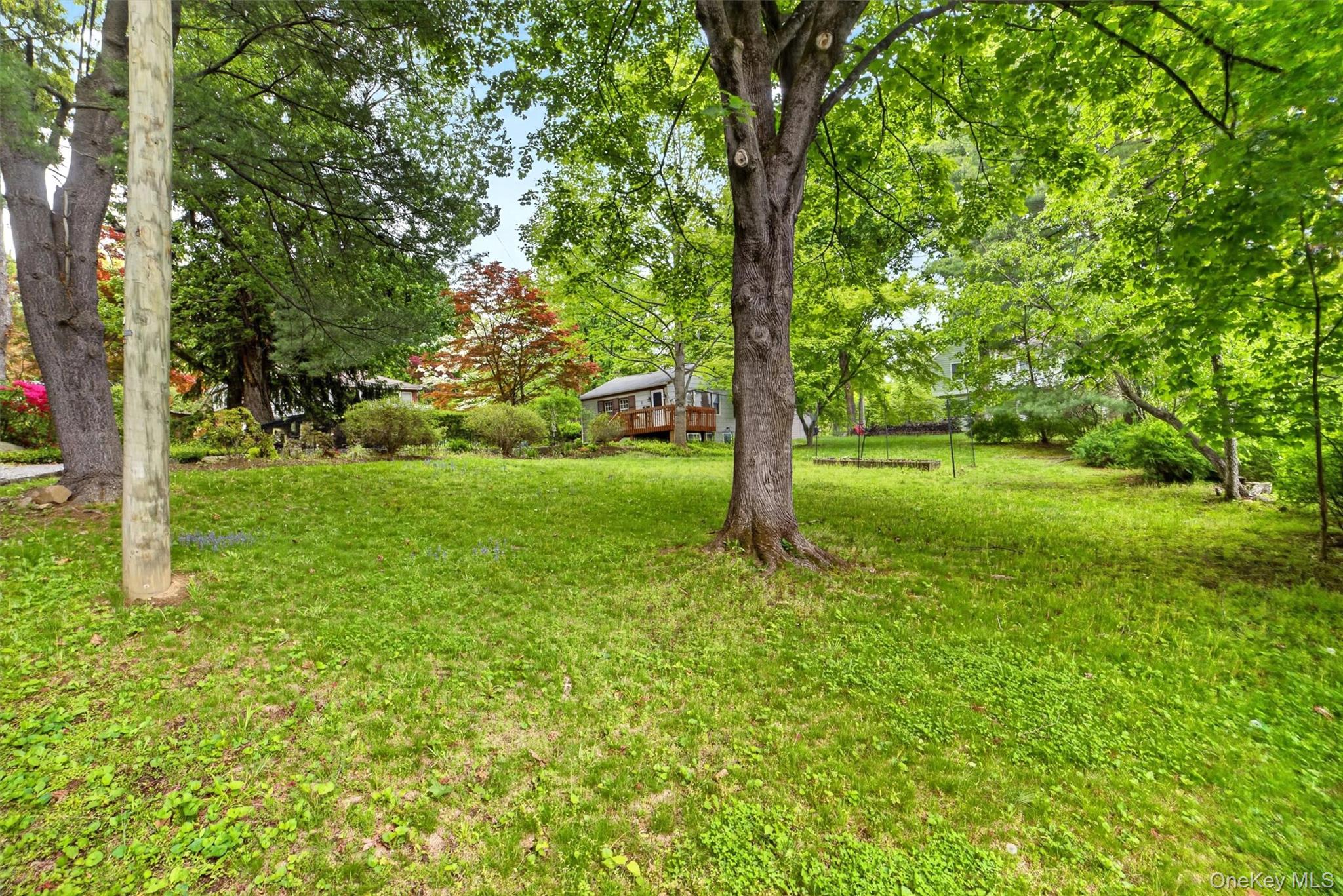 10 Mount Green Road Property Photo 16