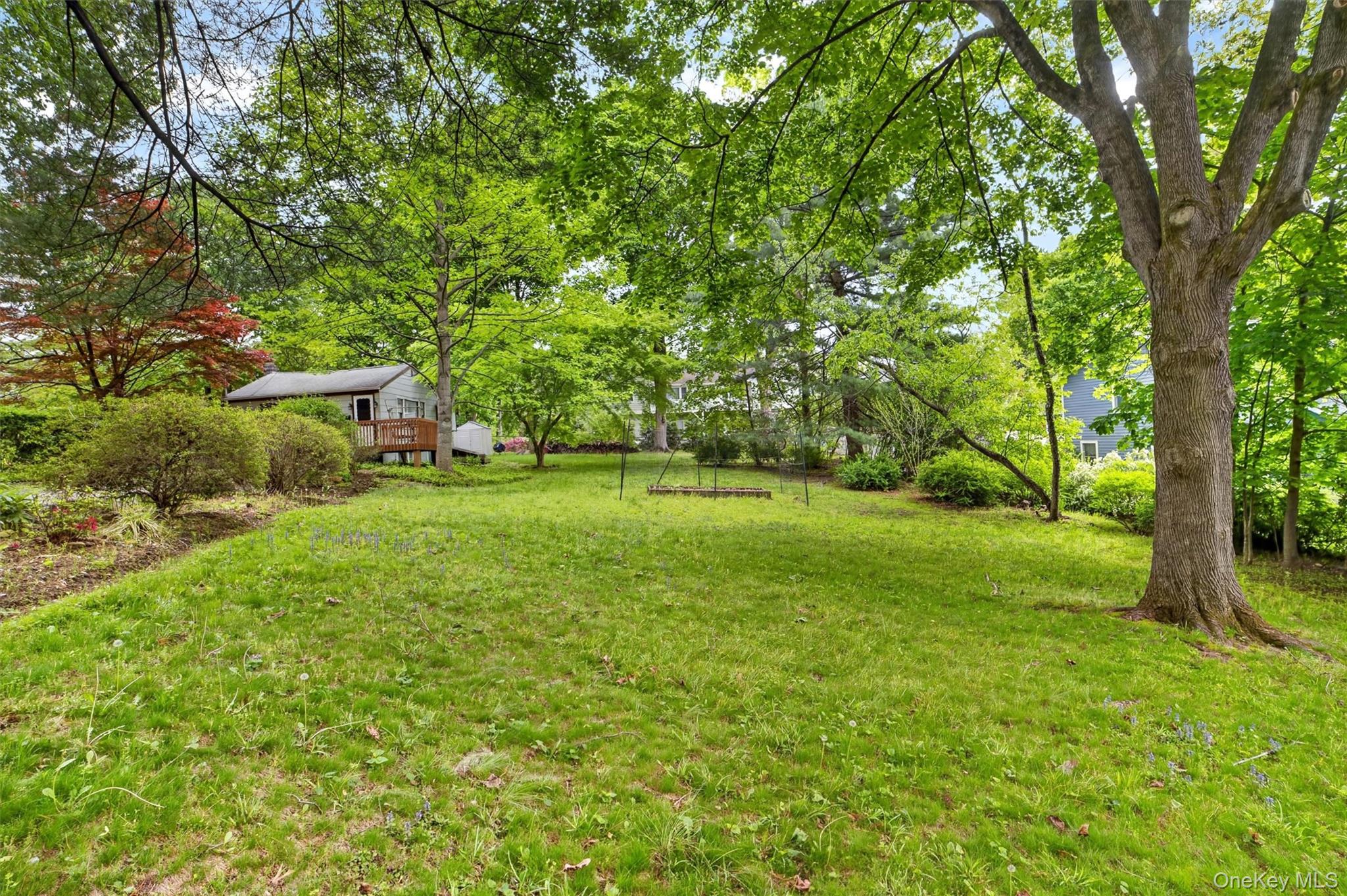 10 Mount Green Road Property Photo 18