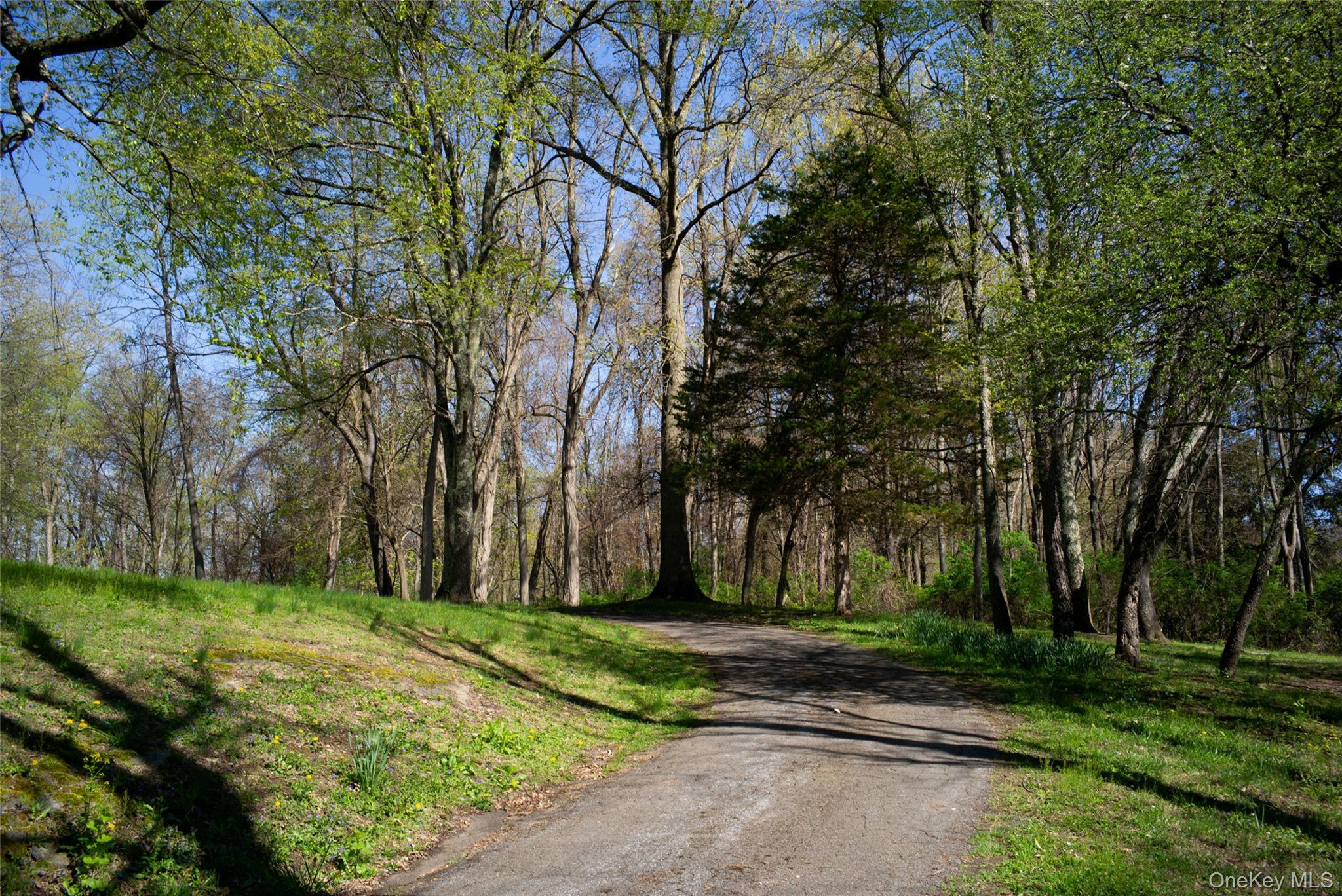 97 Spencer Drive Property Photo 13
