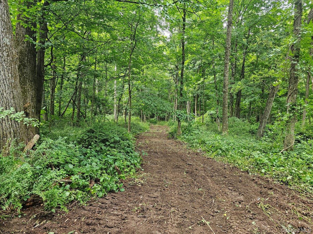 218 Route 27 Property Photo 25