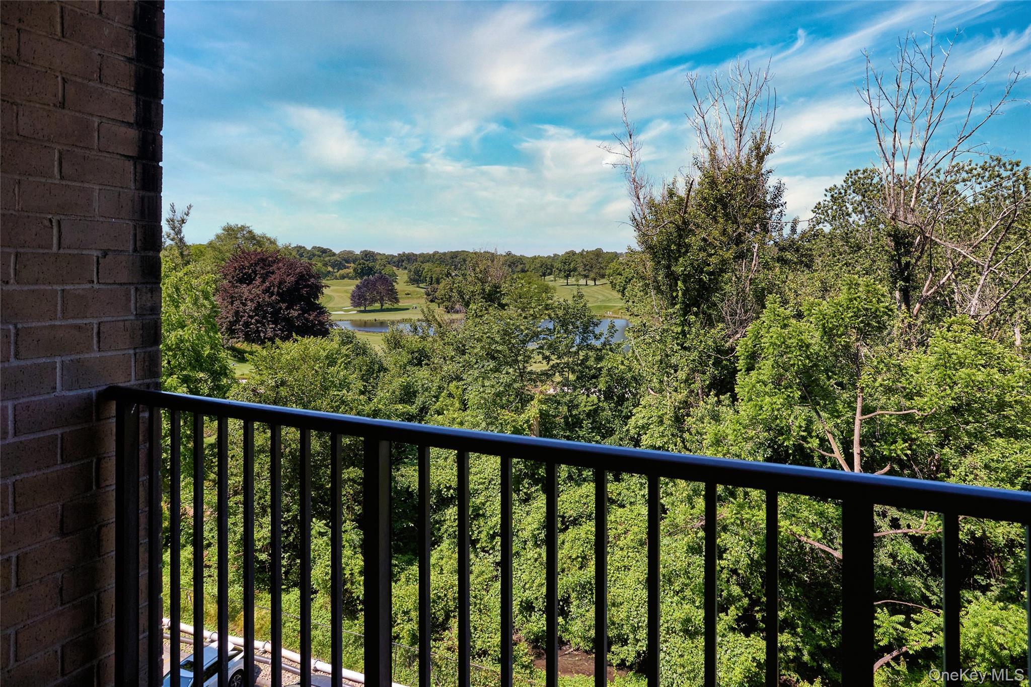 100 E Hartsdale Avenue 4dw Property Photo 26