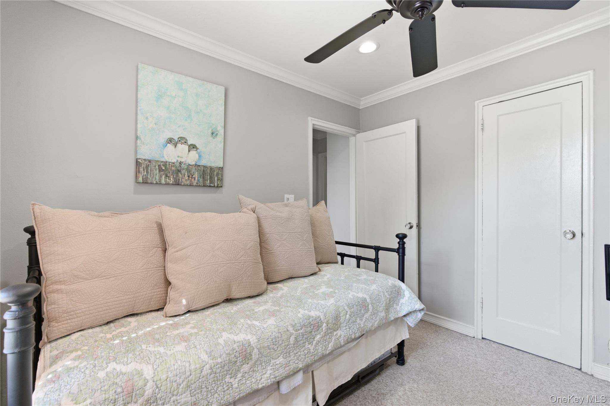 83 Edwards Street 2a Property Photo 17