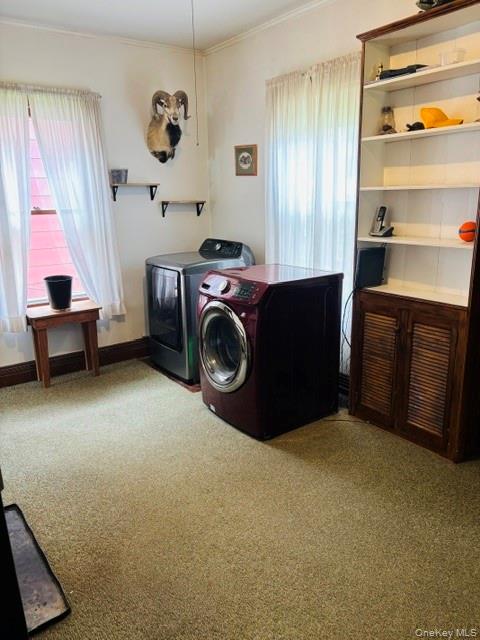 7786 S Main Street Property Photo 19