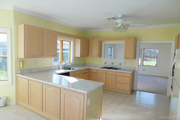 1036 Benjamin Van Keuren Drive Property Photo 3
