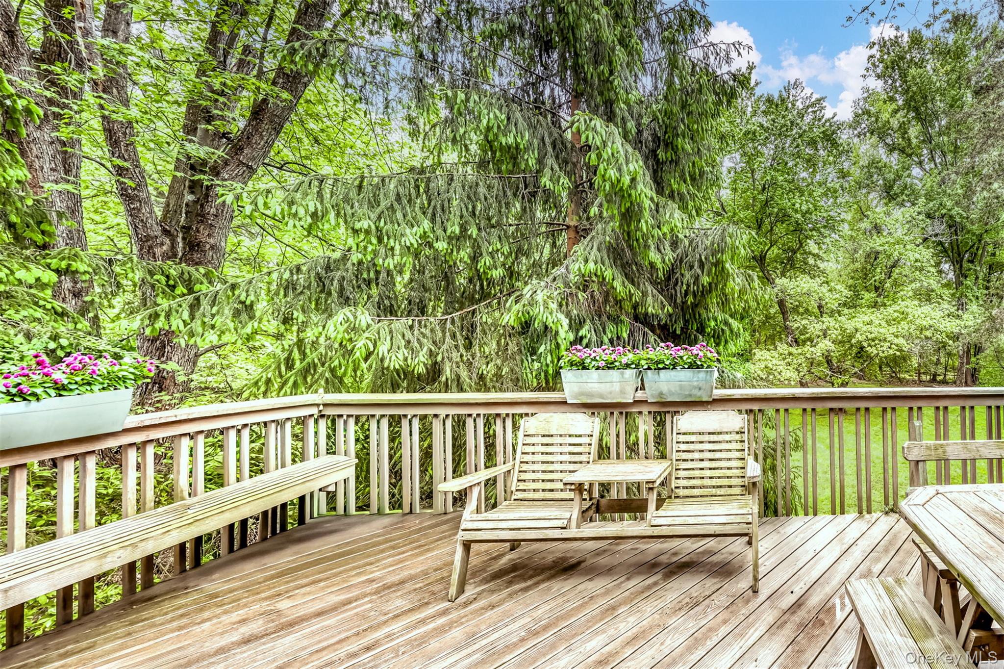 32 Charlotte Drive Property Photo 6