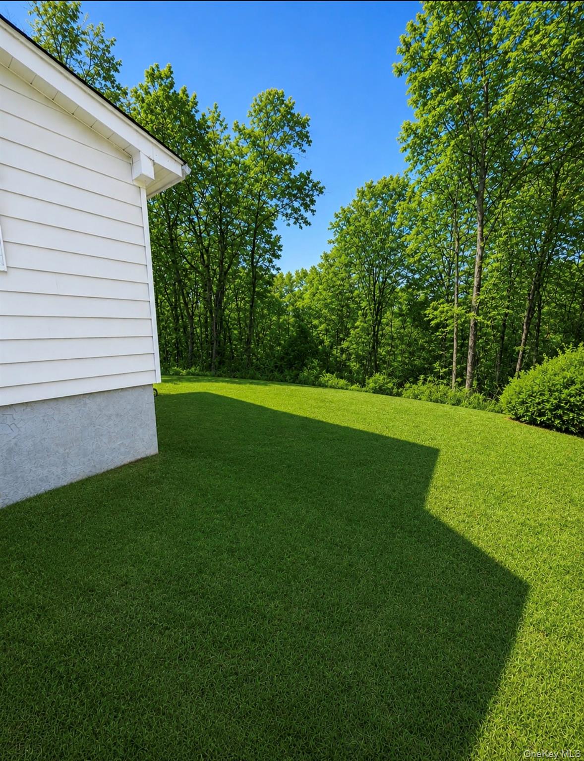 91 Livingston Road Property Photo 11