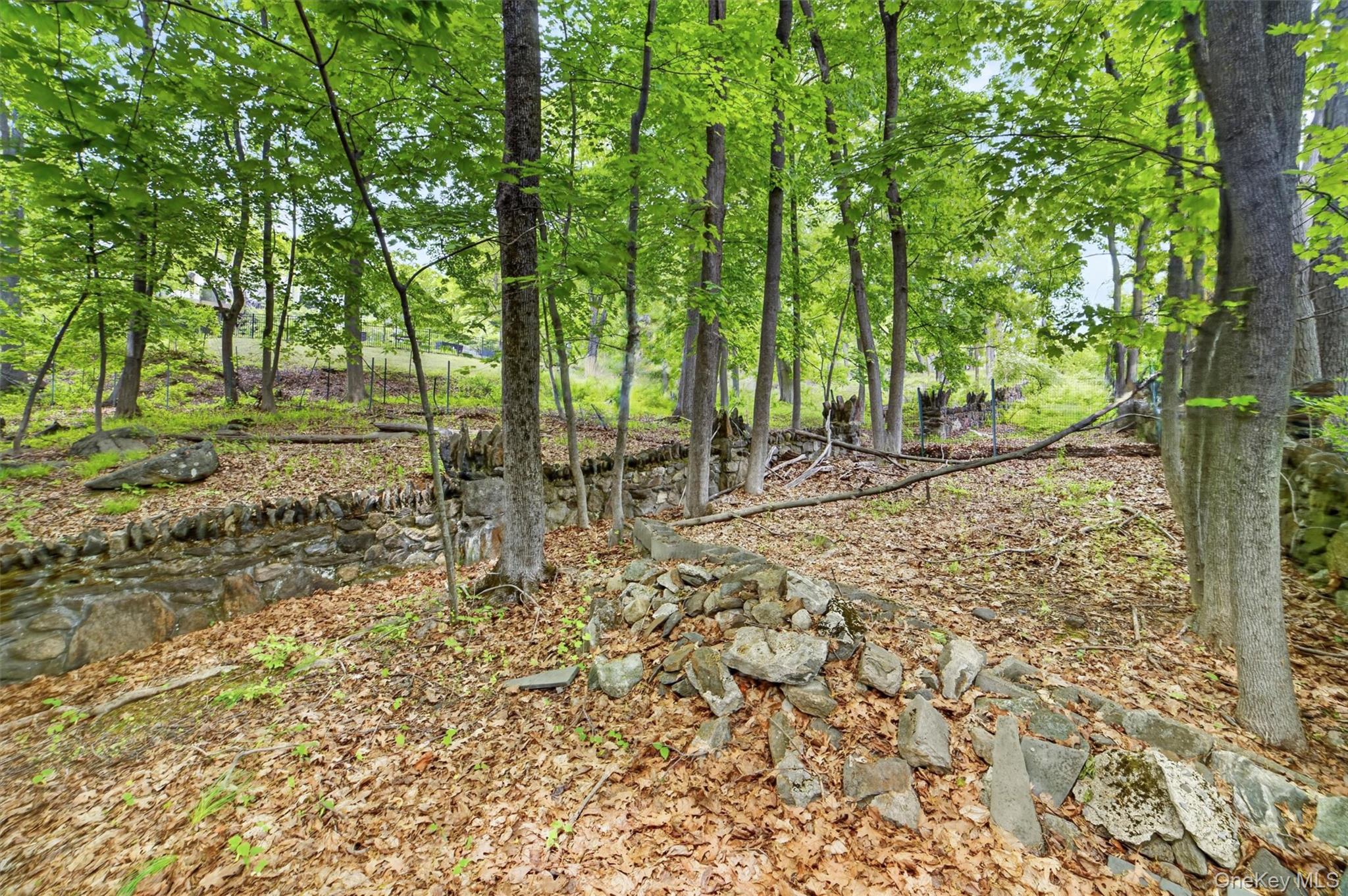 1225 Albany Post Road Property Photo 44