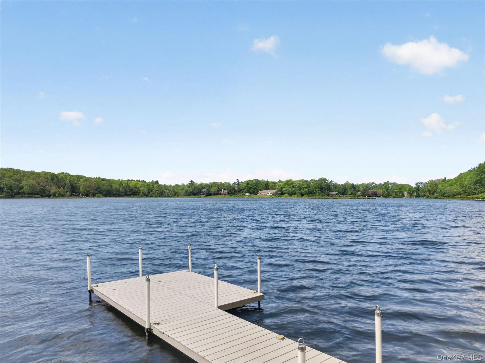117 Lake Shore Drive Property Photo 33