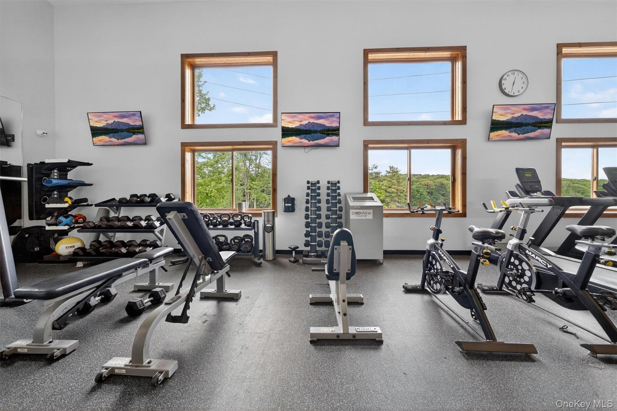 117 Lake Shore Drive Property Photo 37