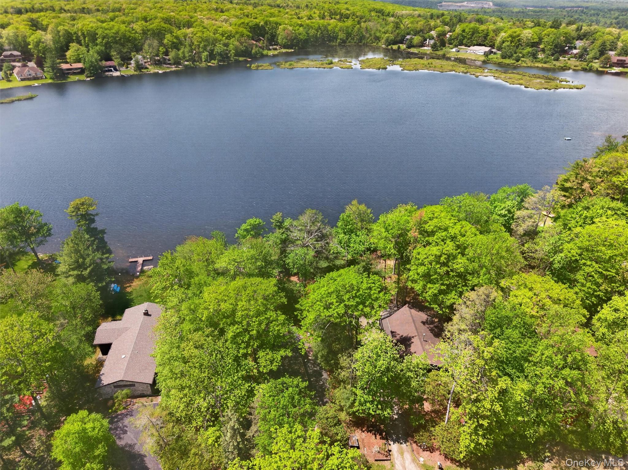 117 Lake Shore Drive Property Photo 49