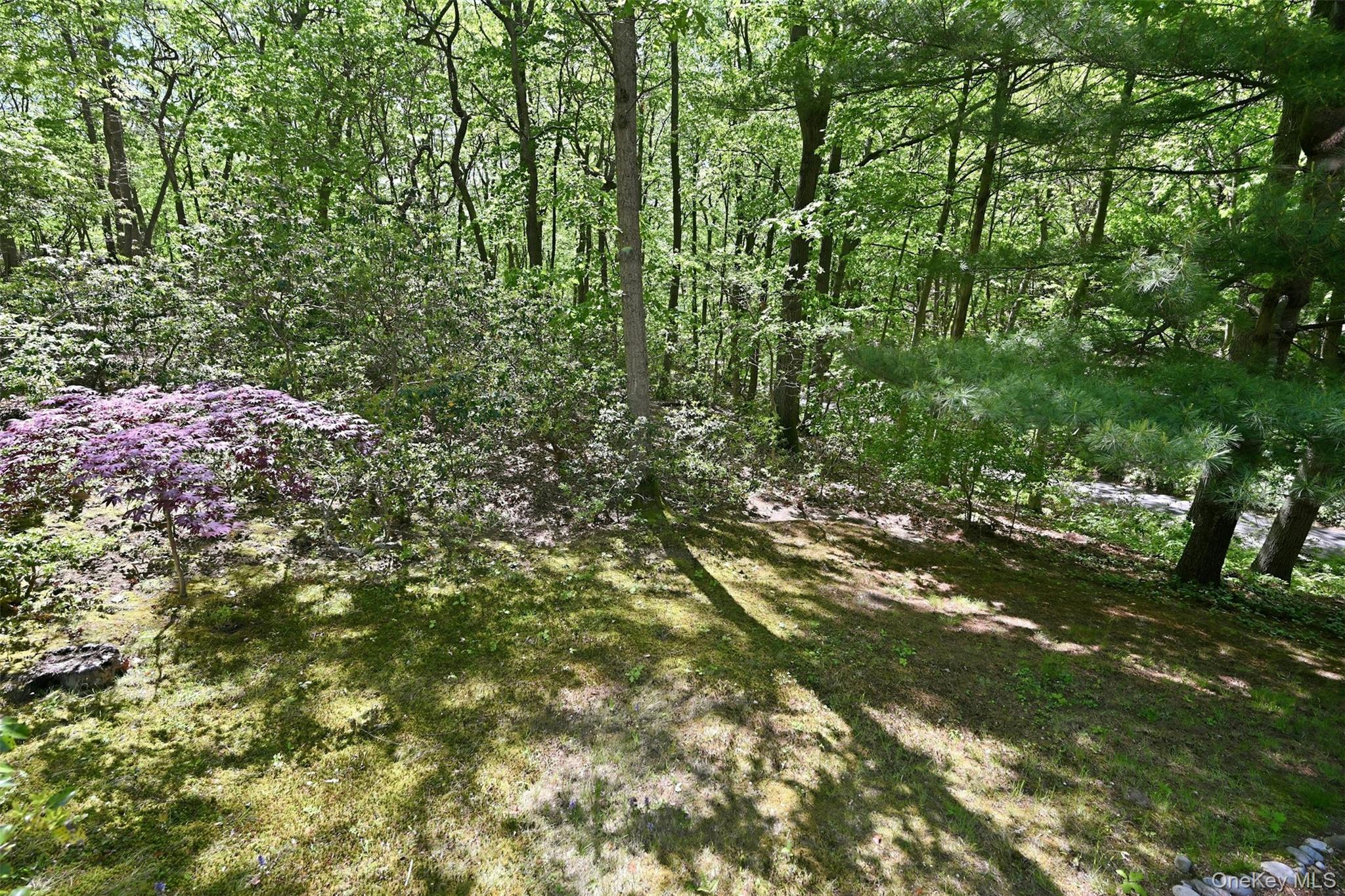 40 Laurel Hill Road Property Photo 38