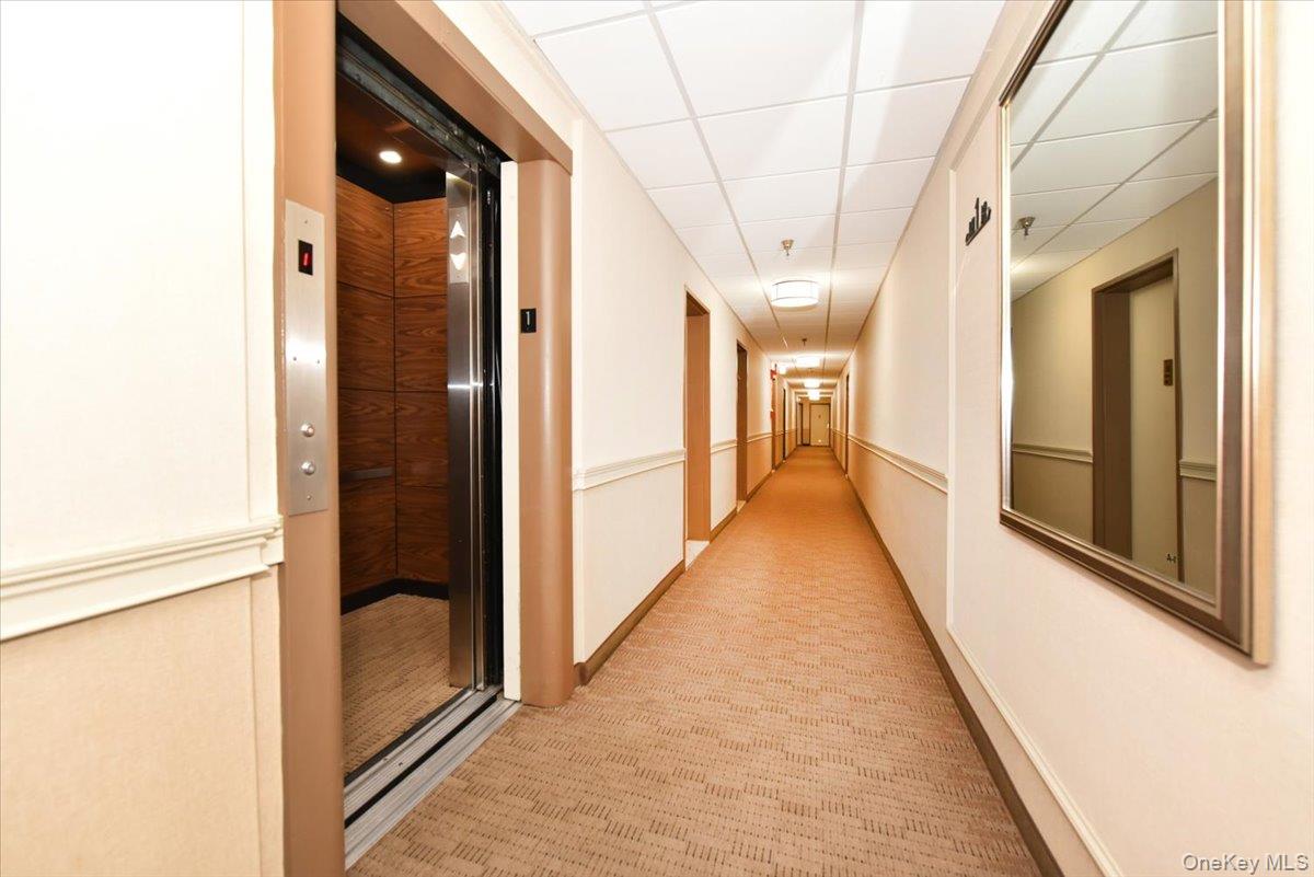 50 Hill Park Avenue 1-l Property Photo 6