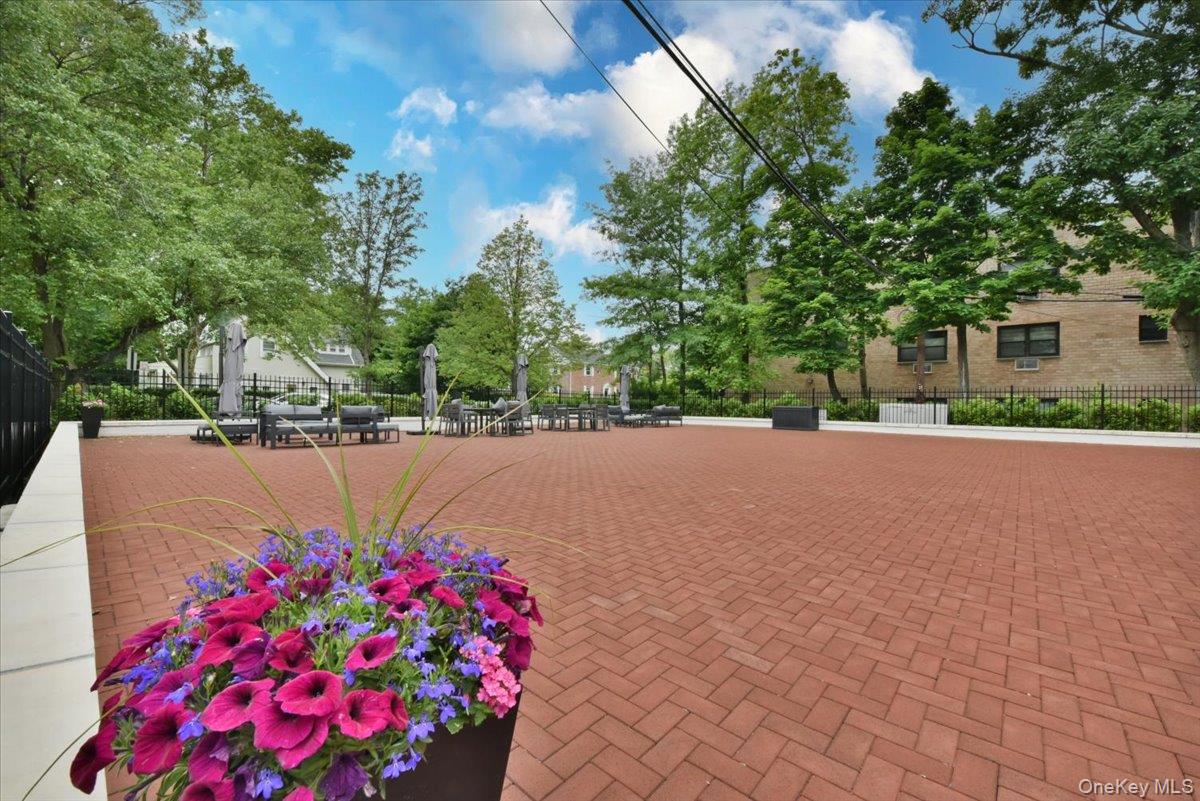 50 Hill Park Avenue 1-l Property Photo 25