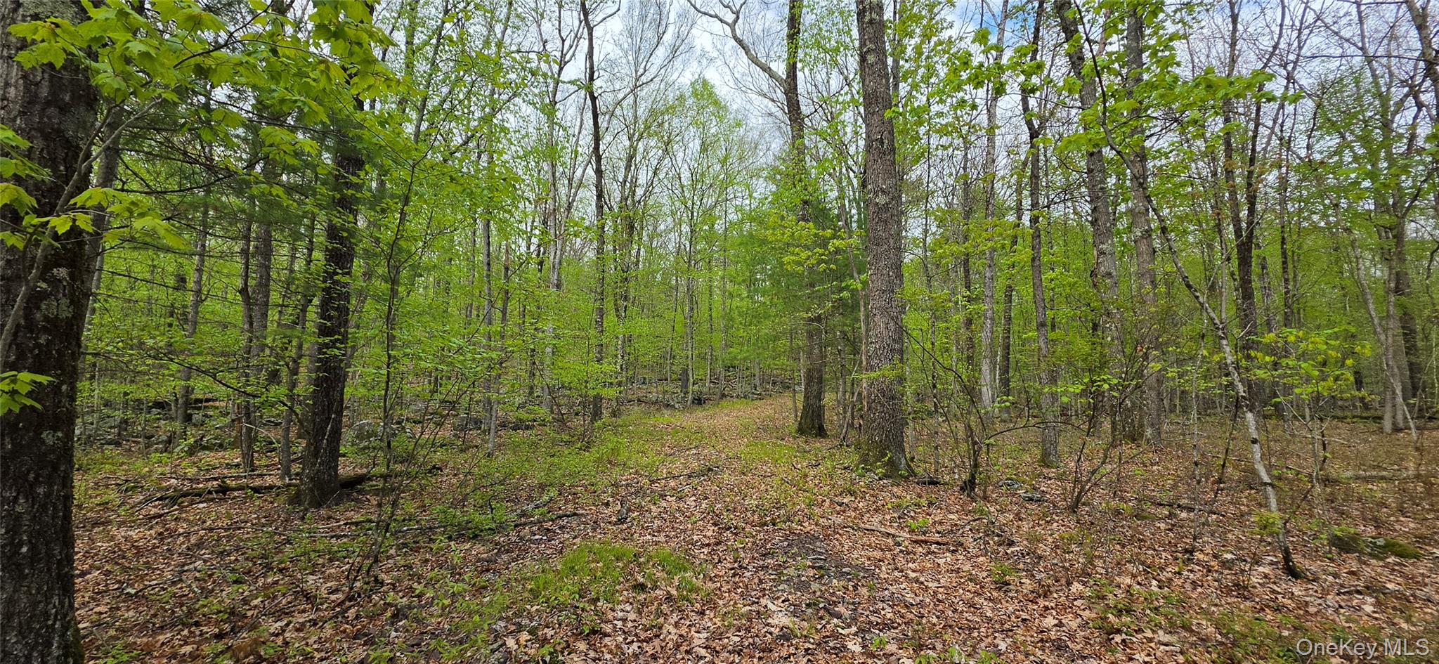 Lot 23.21 State Route 97 Property Photo 1