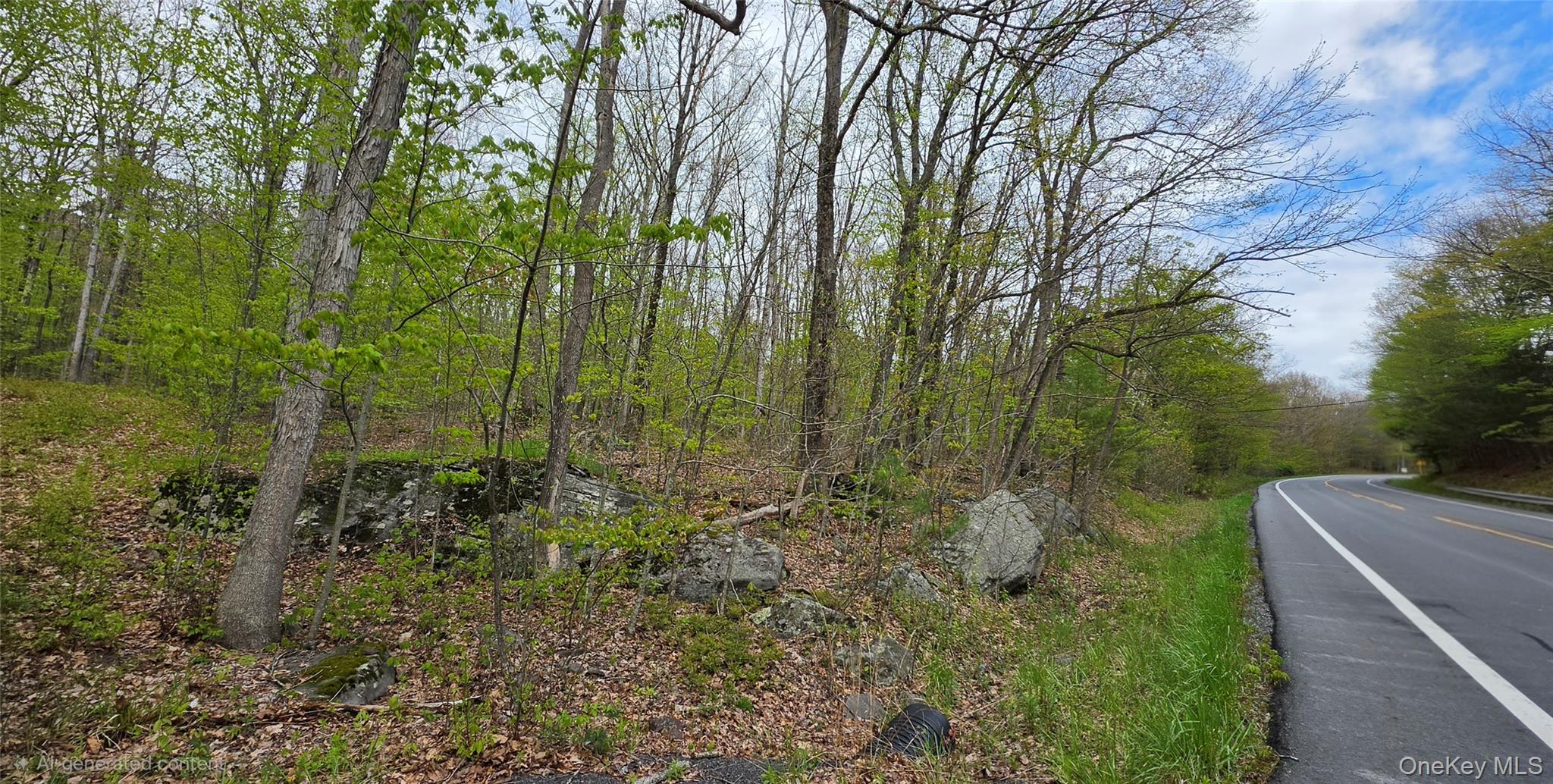 Lot 23.21 State Route 97 Property Photo 3