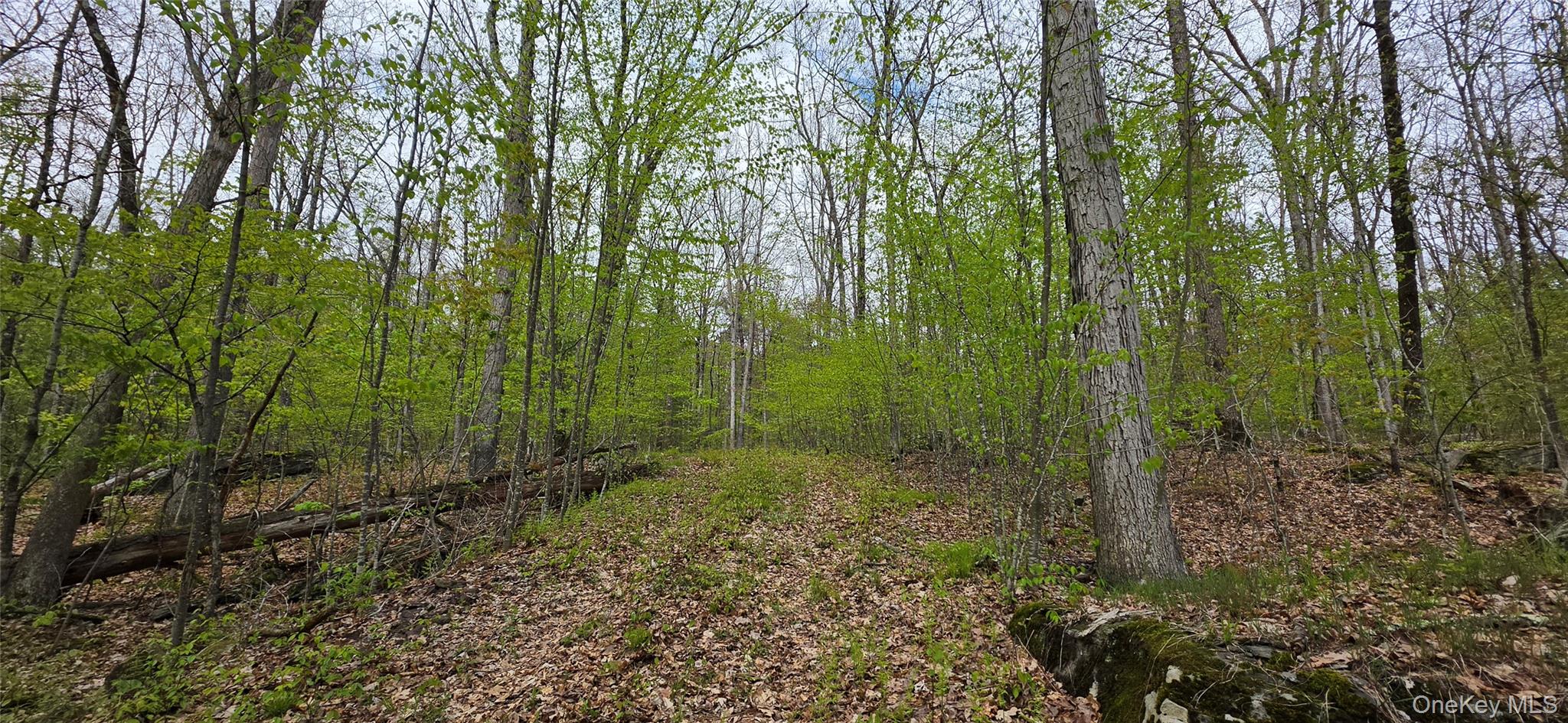 Lot 23.21 State Route 97 Property Photo 4