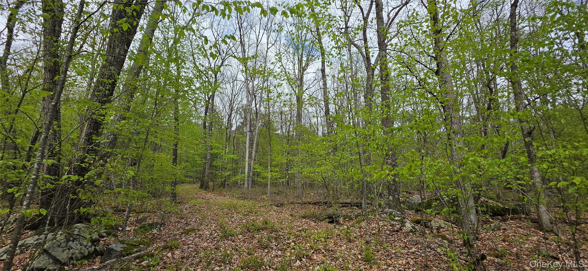 Lot 23.21 State Route 97 Property Photo 5